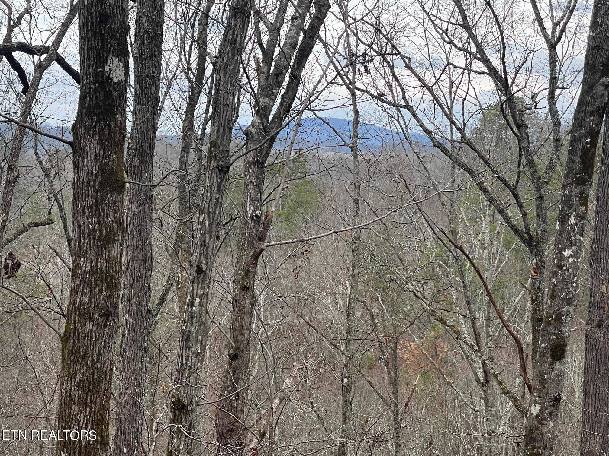 Sevierville, TN 37876,Lot 99 Dolly South DR