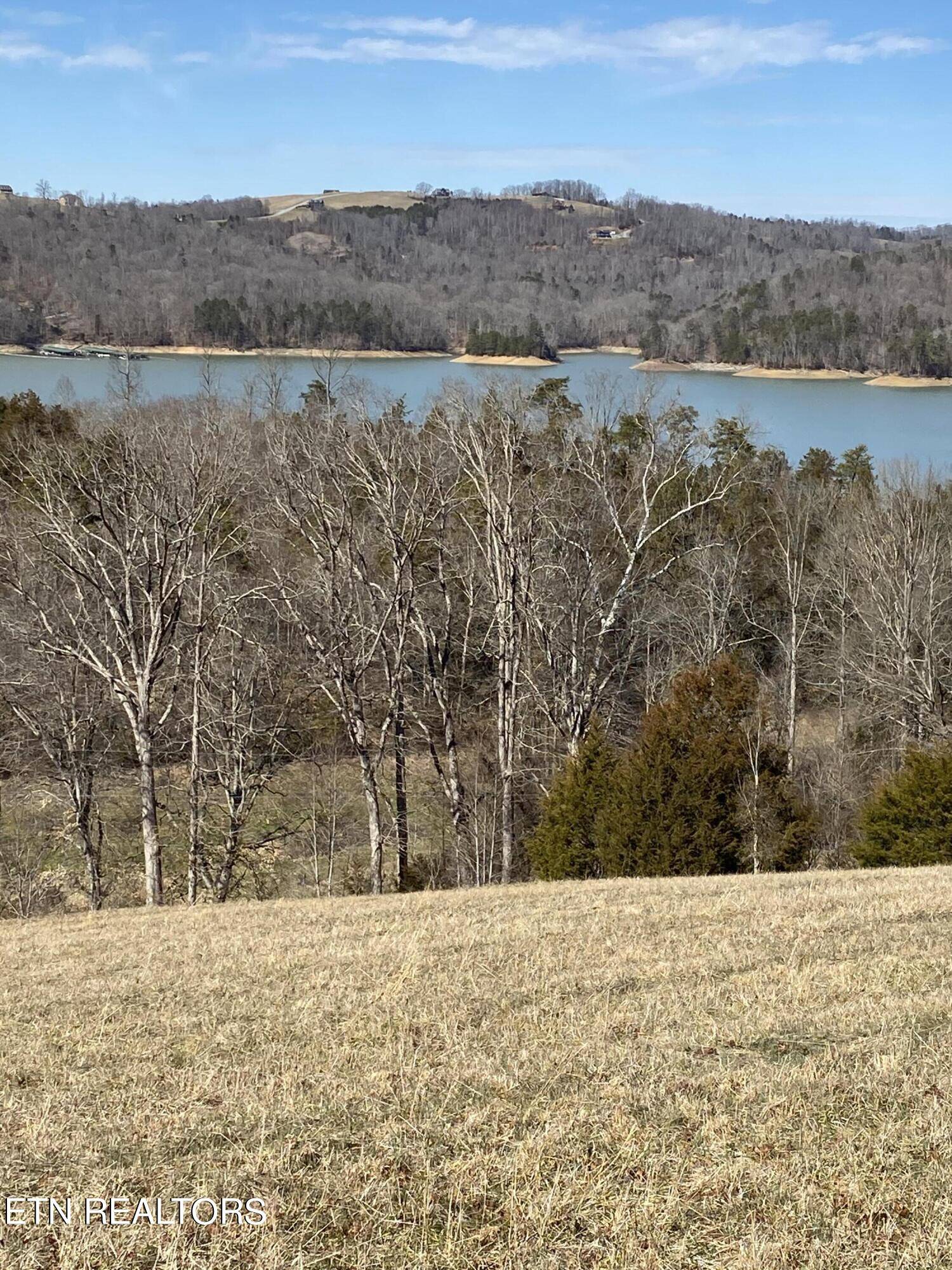 Maynardville, TN 37807,Bob Wright Rd, Lot 25 Rd