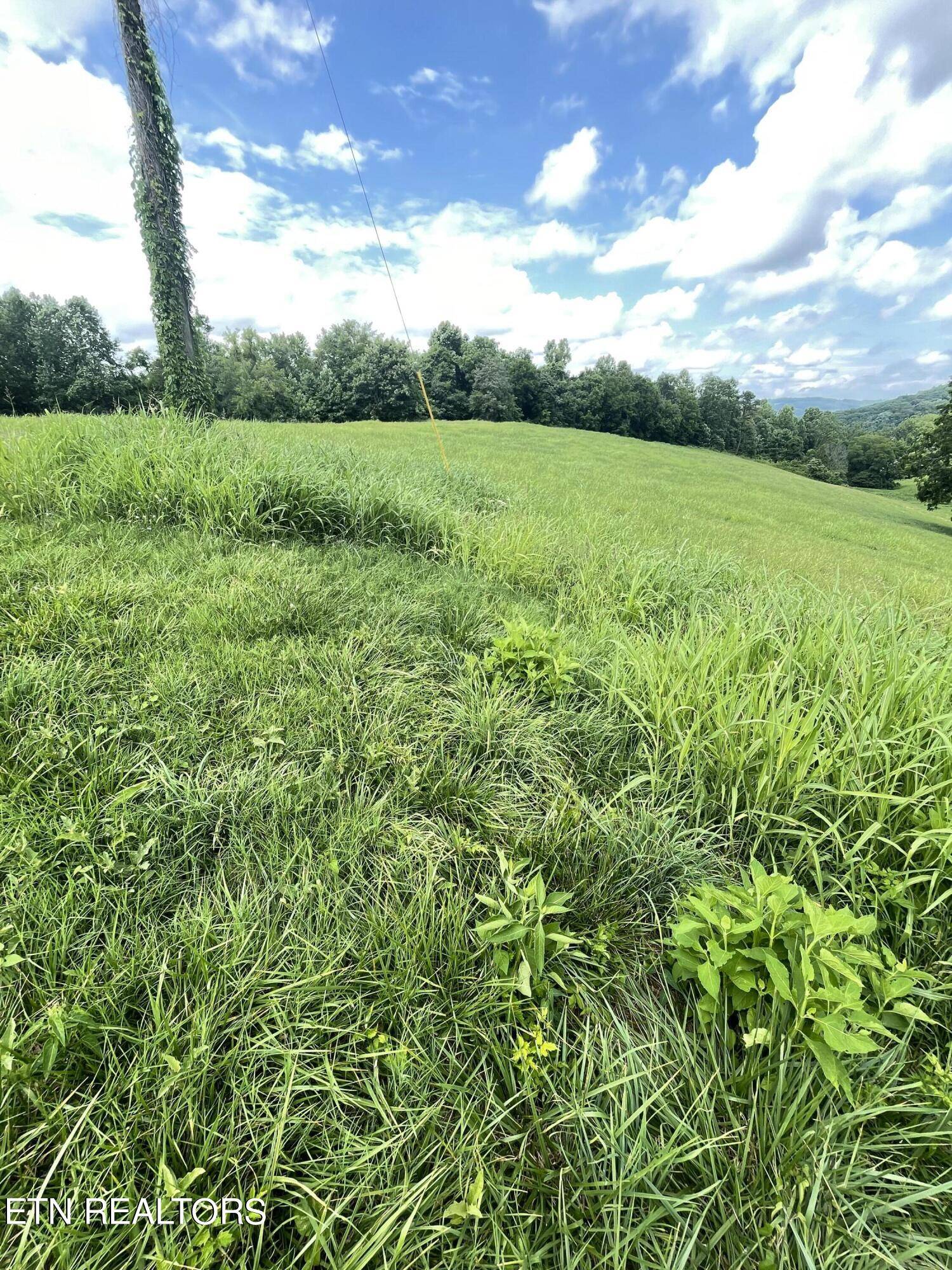 Maynardville, TN 37807,Bob Wright Rd, Lot 25 Rd