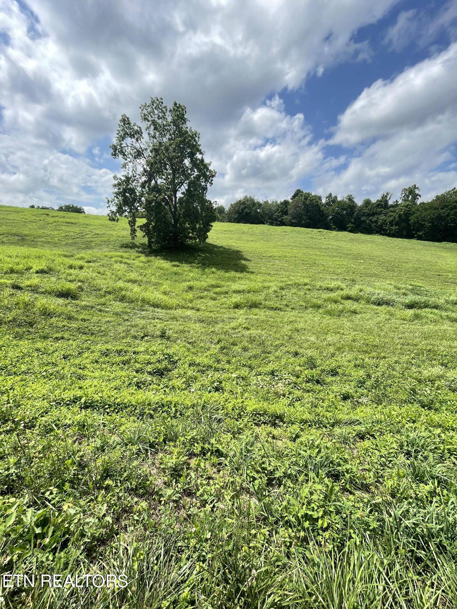 Maynardville, TN 37807,Bob Wright Rd, Lot 25 Rd