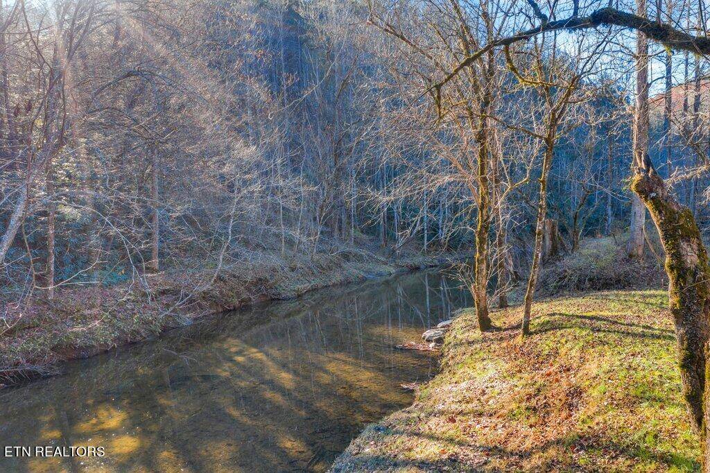 Sevierville, TN 37876,1932 Creek Hollow WAY