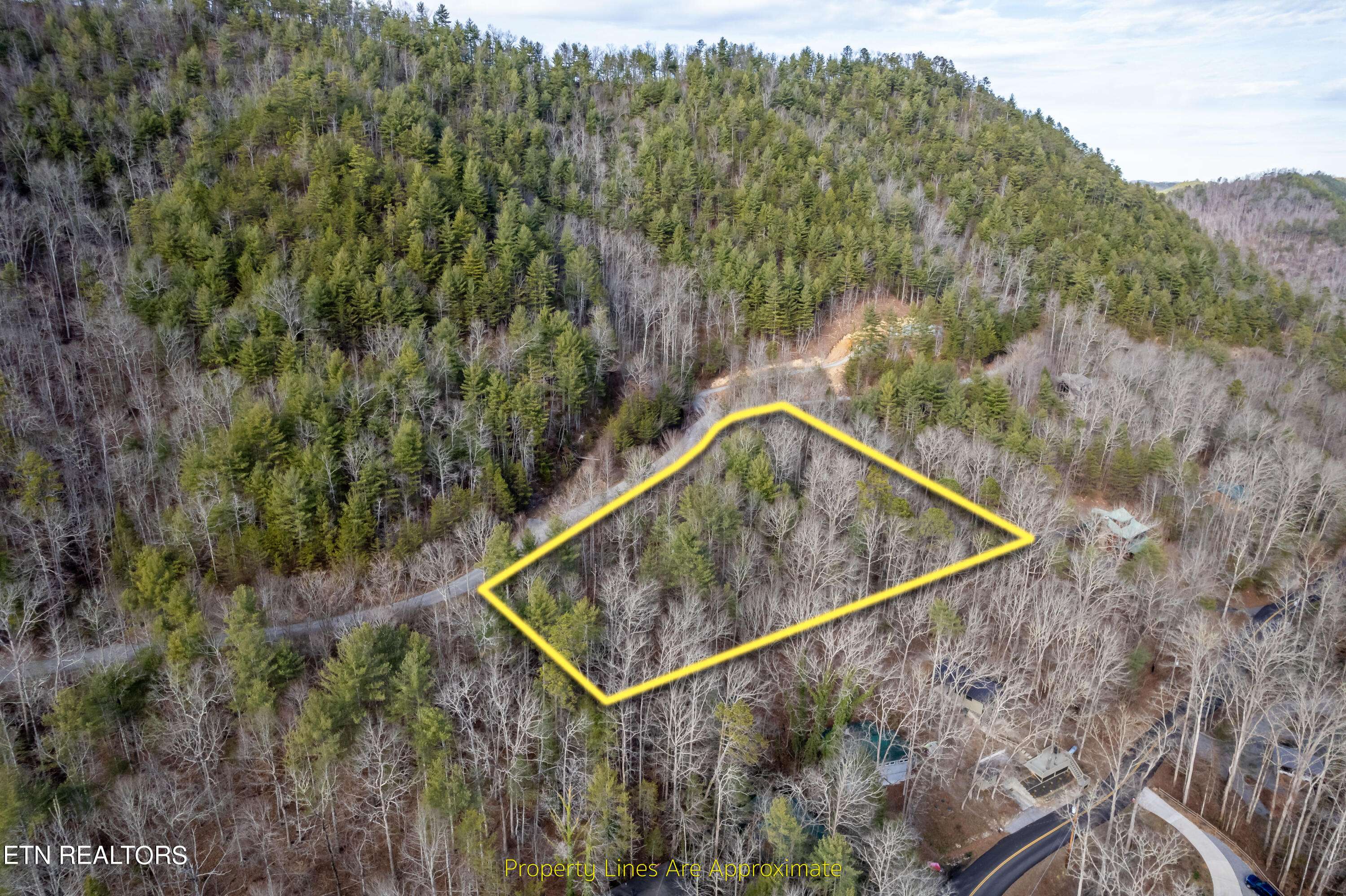 Townsend, TN 37882,138 Anatole Pass