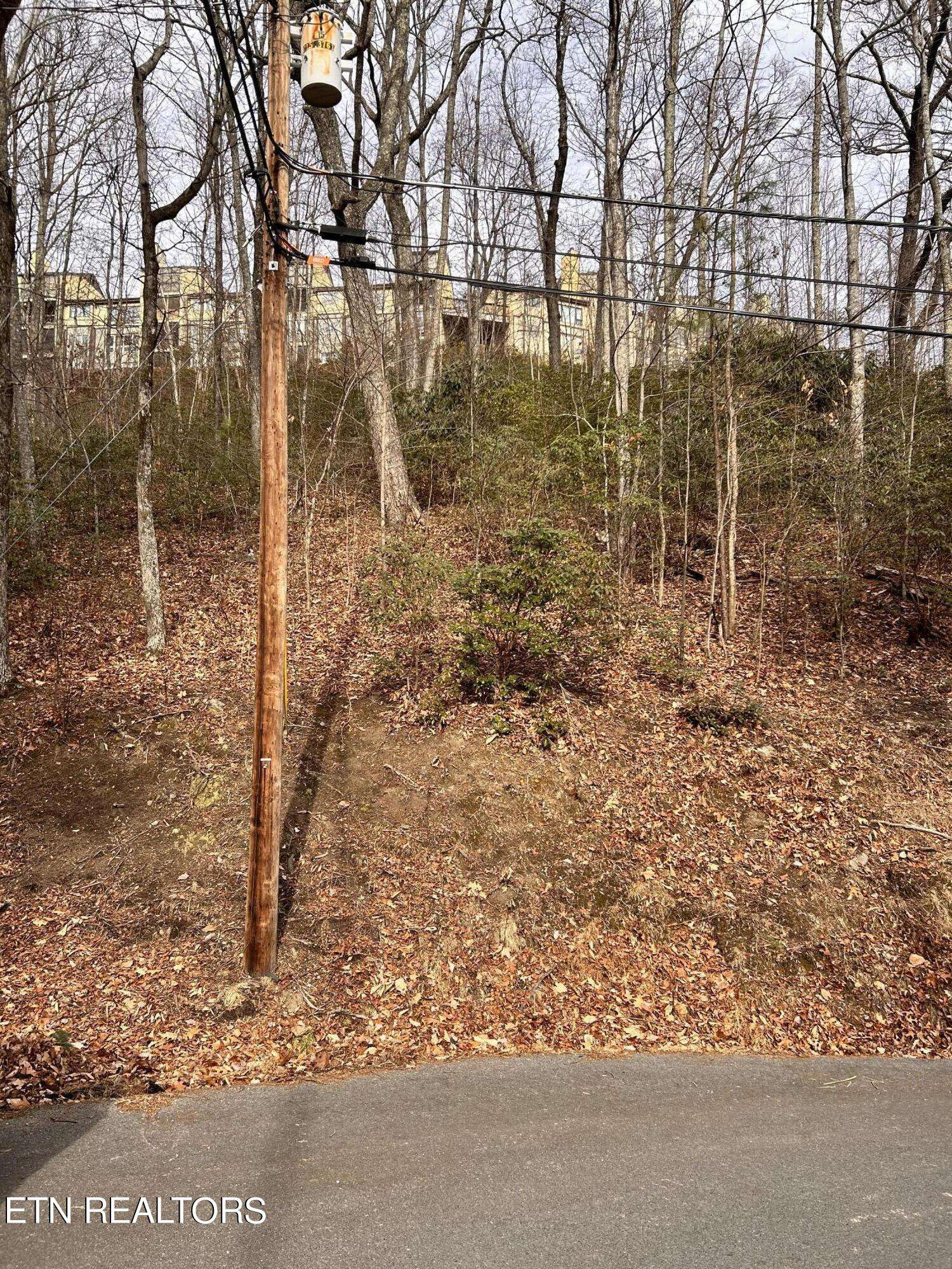 Gatlinburg, TN 37738,Upper Alpine Way lot 3