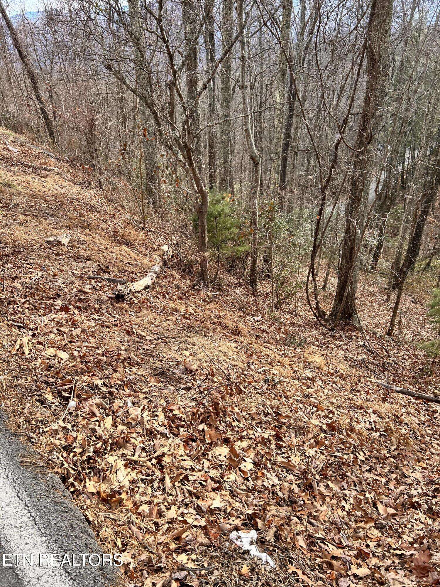 Gatlinburg, TN 37738,Upper Alpine Way lot 3