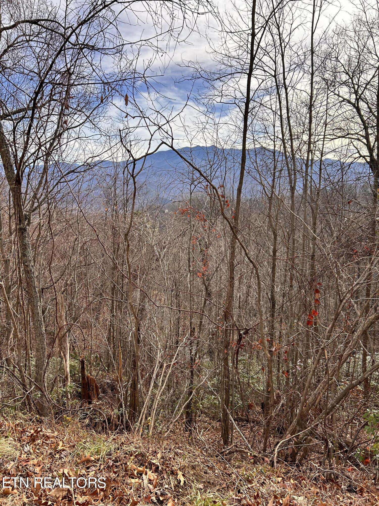 Gatlinburg, TN 37738,Upper Alpine Way lot 3