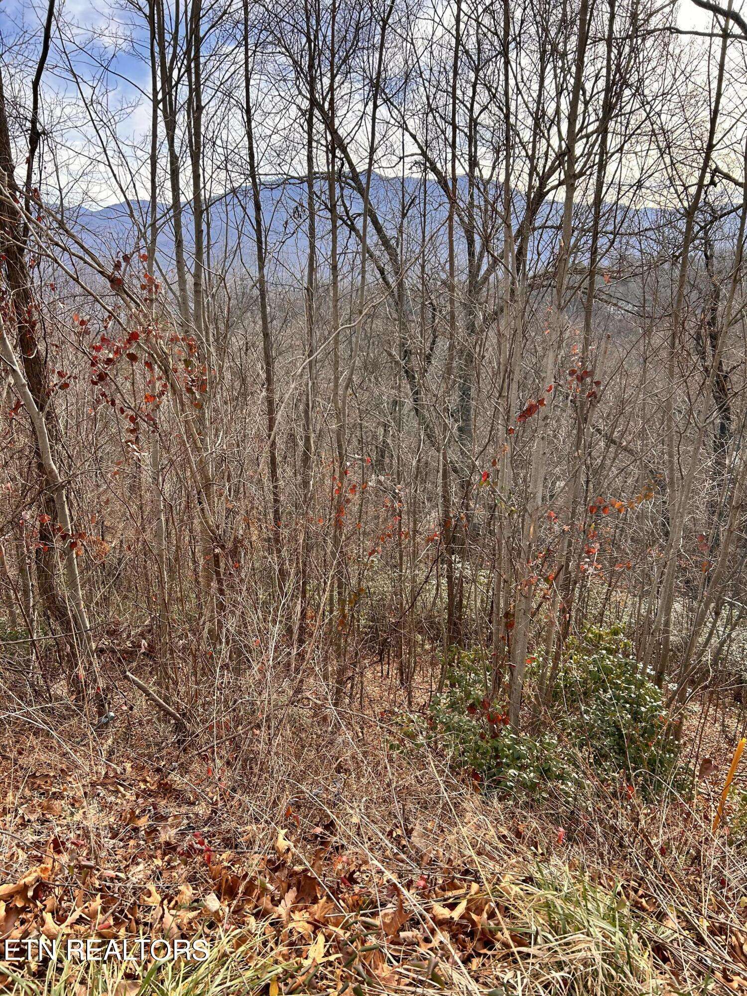 Gatlinburg, TN 37738,Upper Alpine Way lot 3