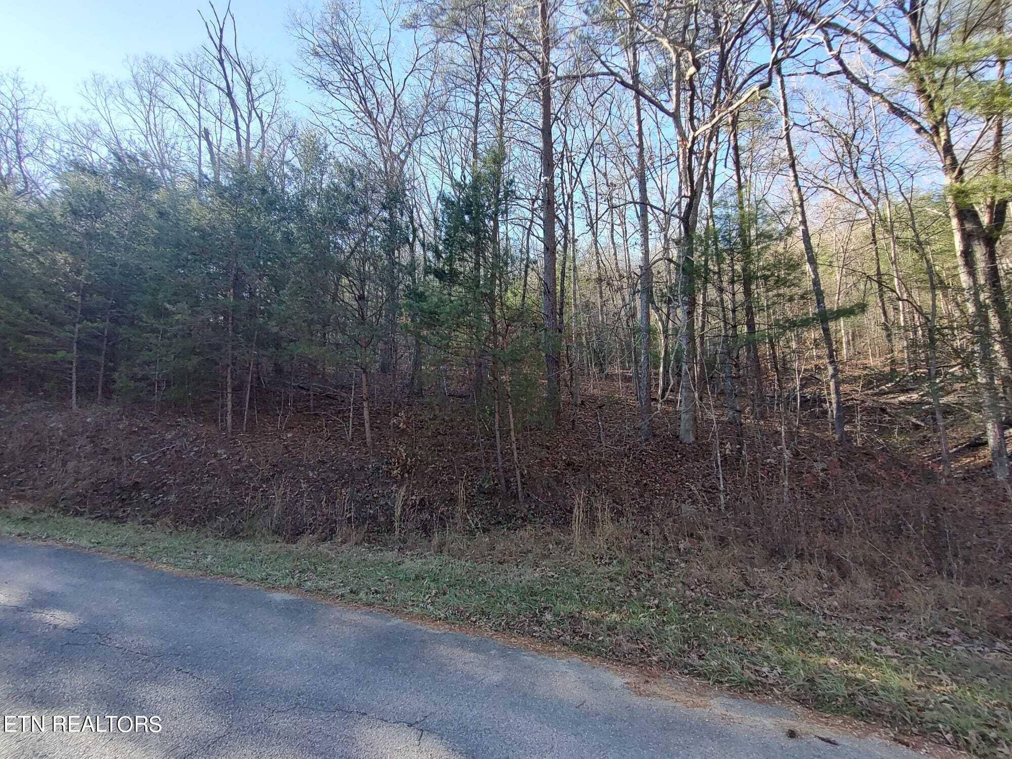 Tellico Plains, TN 37385,0 Steer Creek Rd