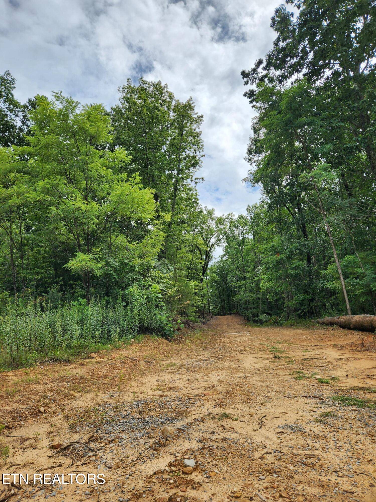 Tellico Plains, TN 37385,Lot 9 Coker Creek Trail