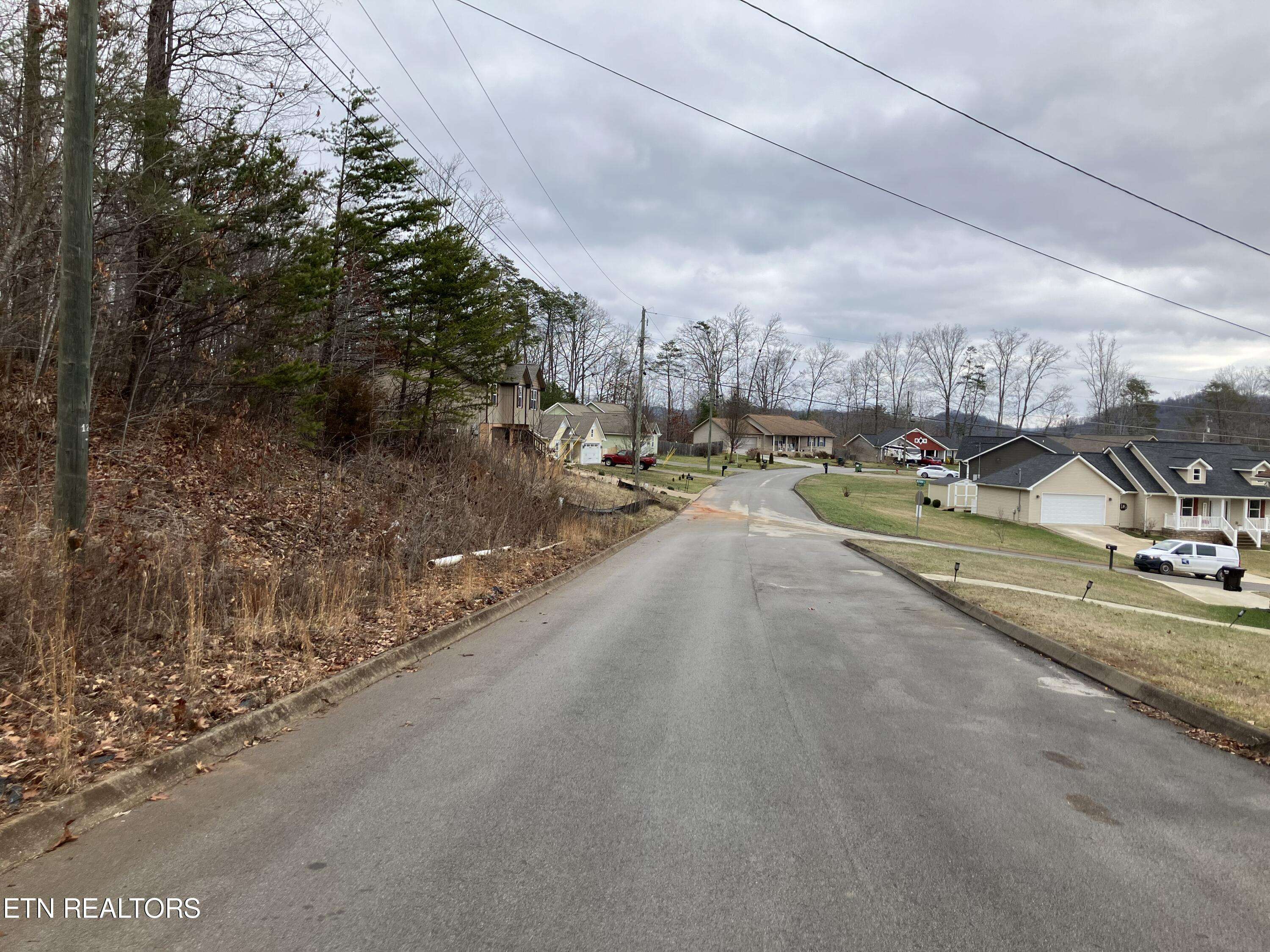 Maynardville, TN 37807,Lot 41 Signet LN