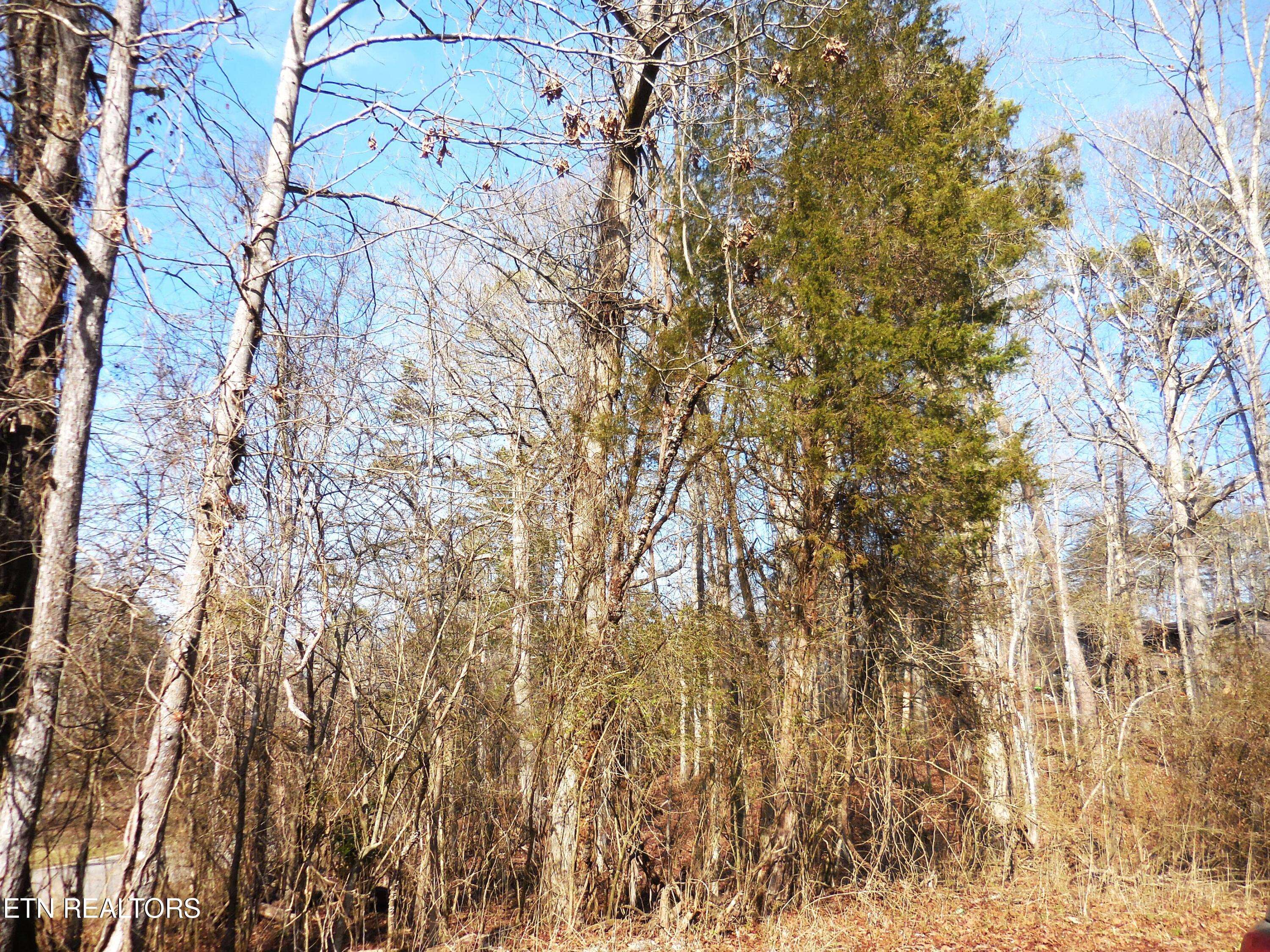 Kingston, TN 37763,lOT 1 Little Dogwood Rd