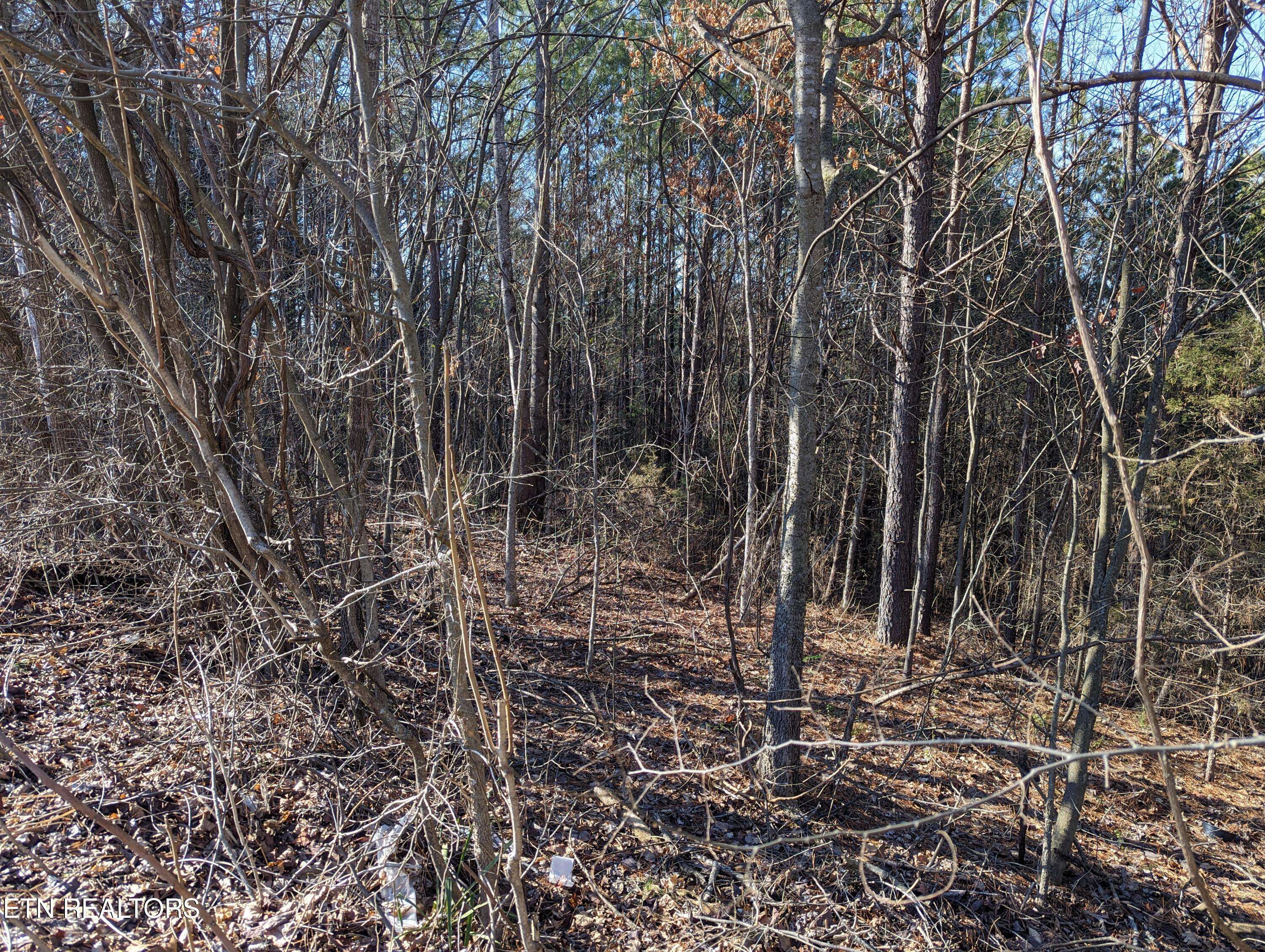 Parrottsville, TN 37843,Lot 22A West DR