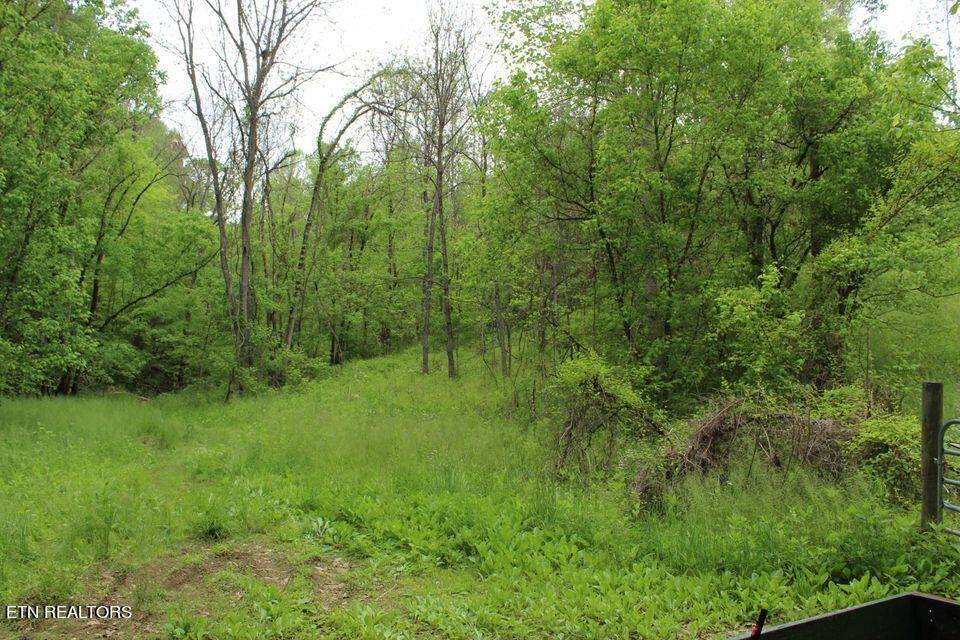 Sevierville, TN 37876,0 Leatherwood Rd