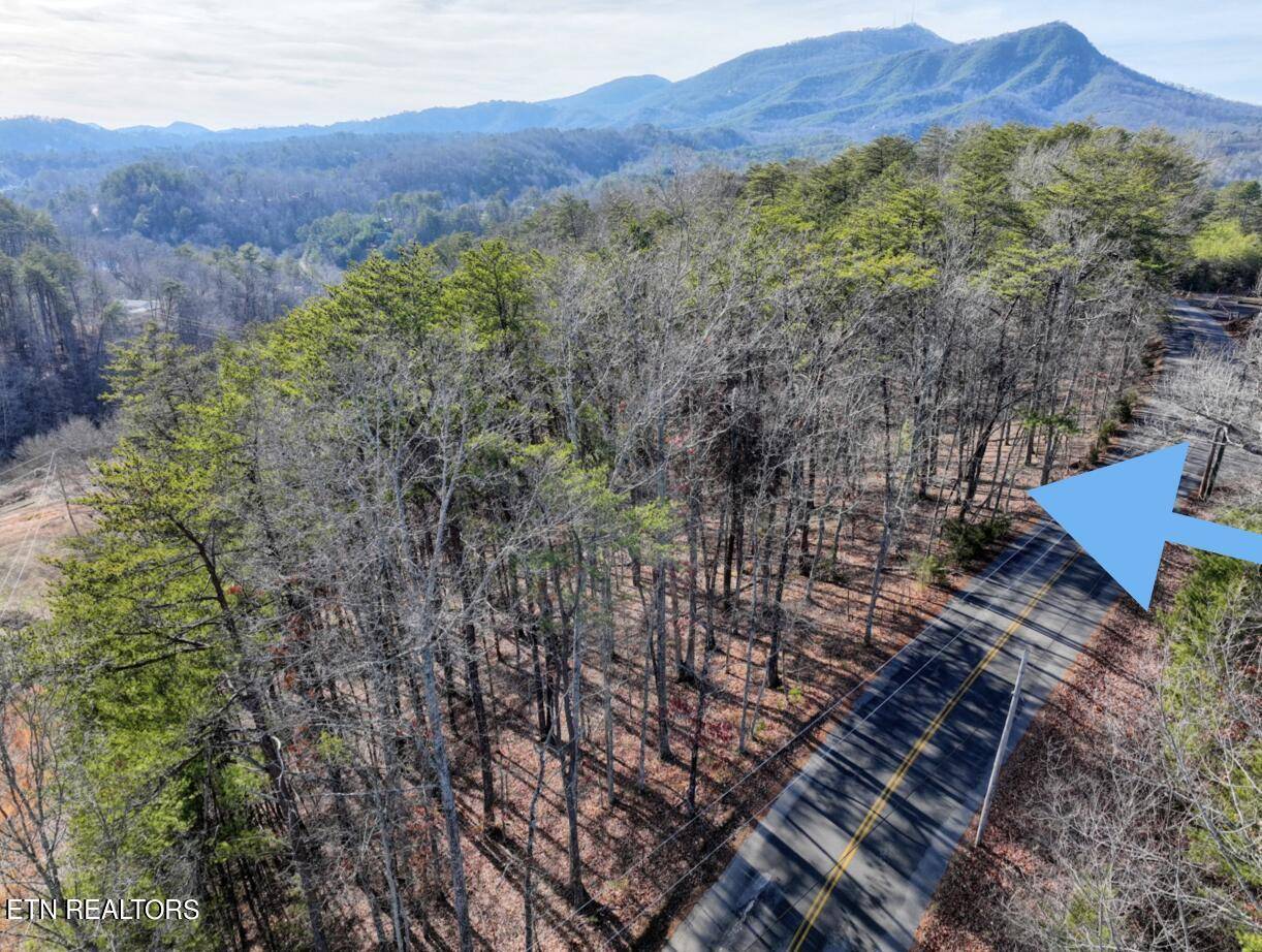 Sevierville, TN 37862,Lot 3 Sharp Hollow Rd
