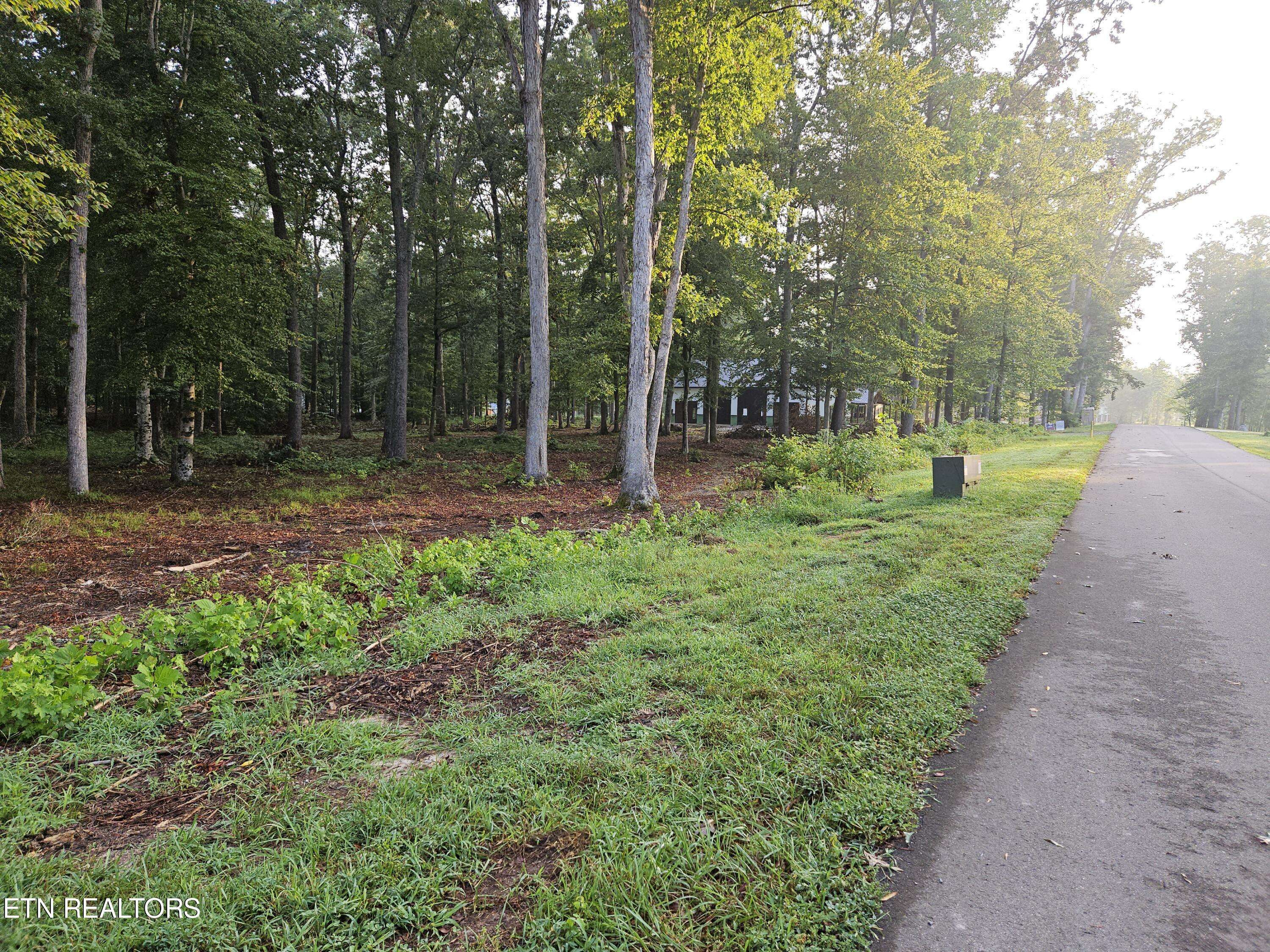 Dandridge, TN 37725,Lot 5 Deerwood DR