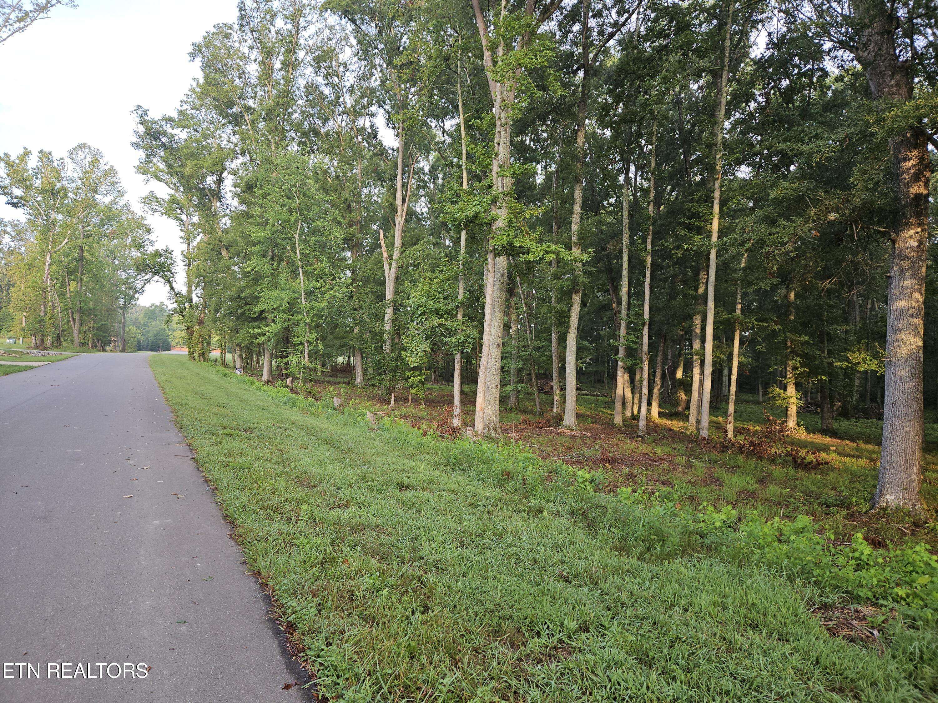 Dandridge, TN 37725,Lot 5 Deerwood DR