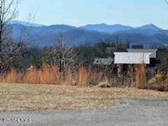 Sevierville, TN 37876,2029 Starr Crest DR