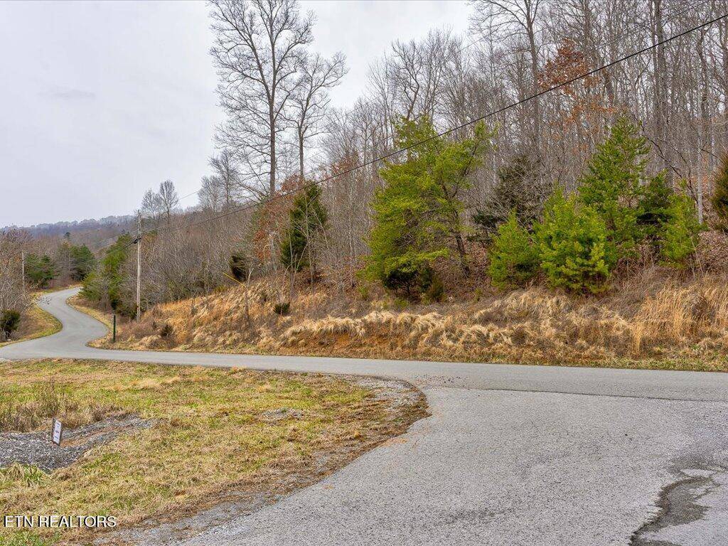 New Tazewell, TN 37825,Lot 535 Whistle Valley Rd