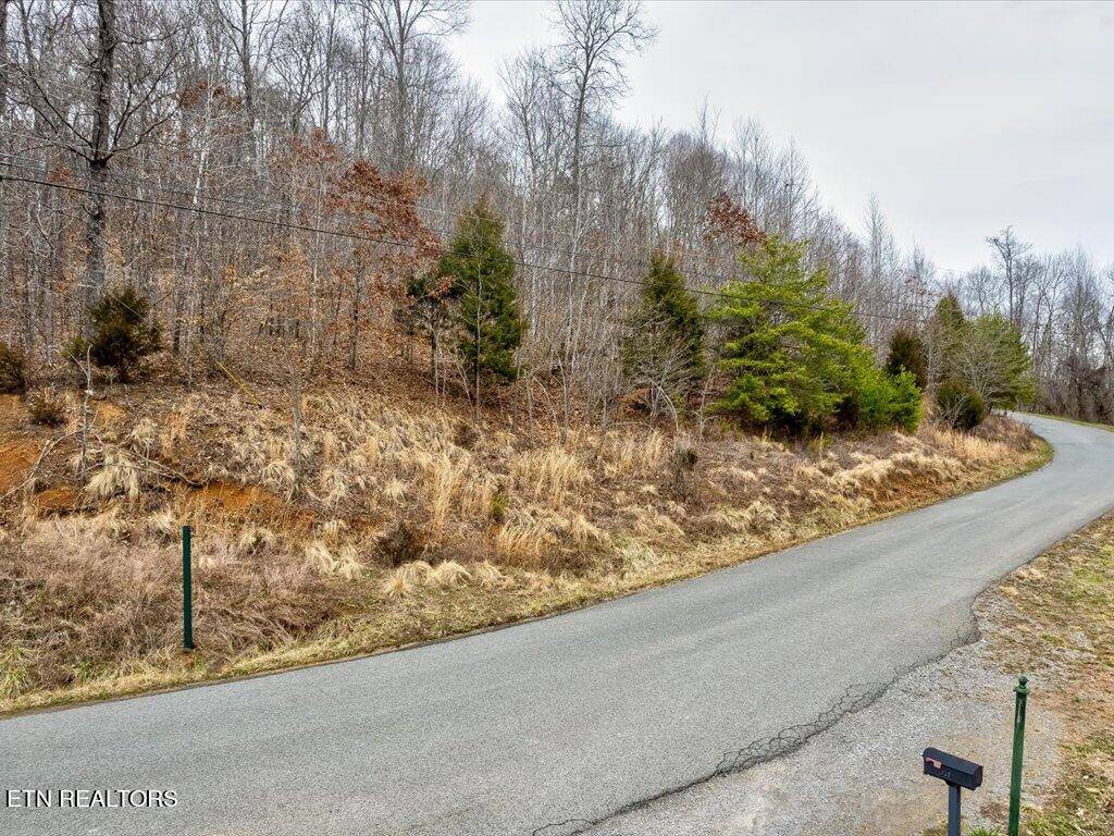 New Tazewell, TN 37825,Lot 535 Whistle Valley Rd