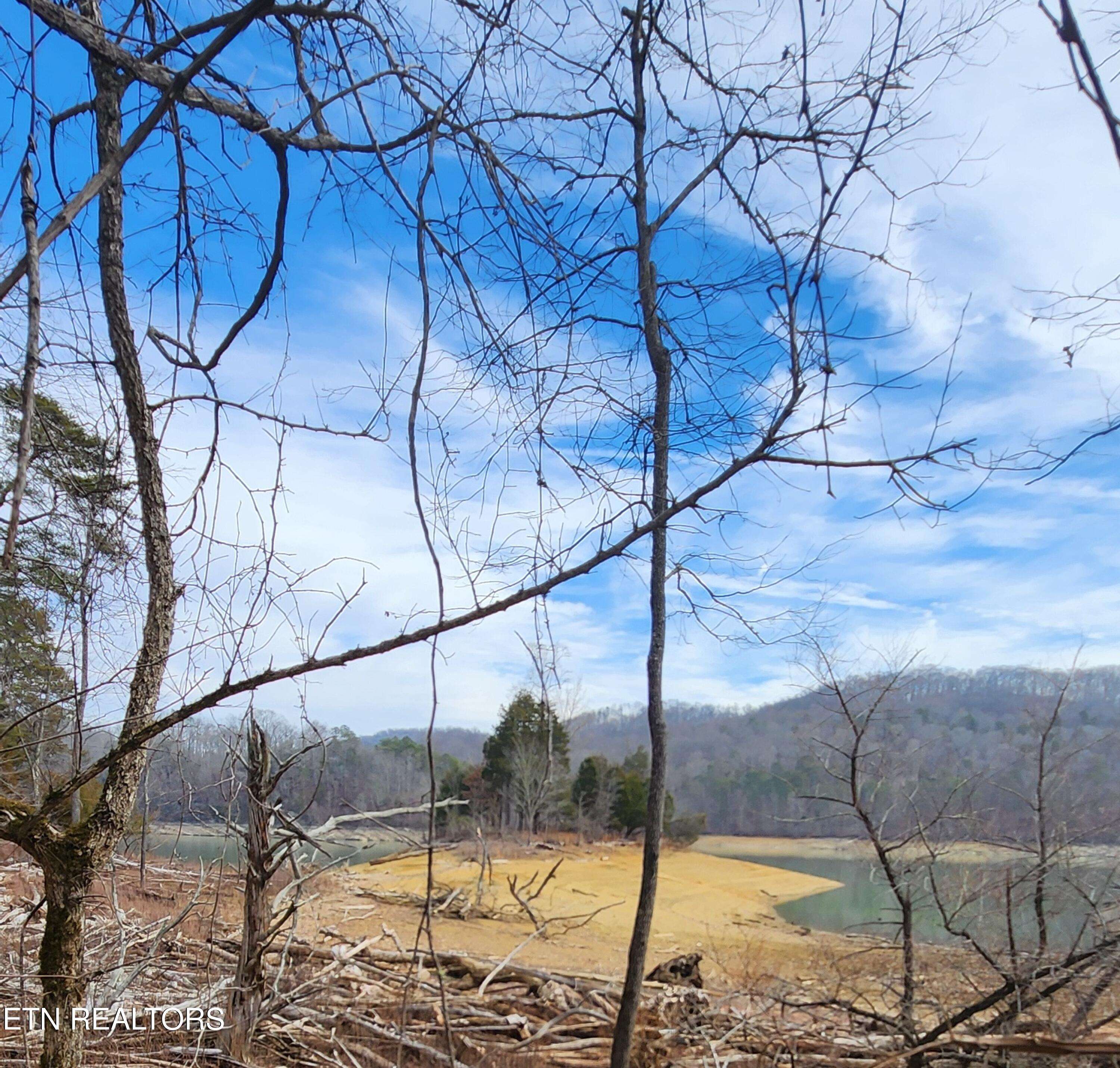 New Tazewell, TN 37825,312 Lot Bluff View Rd