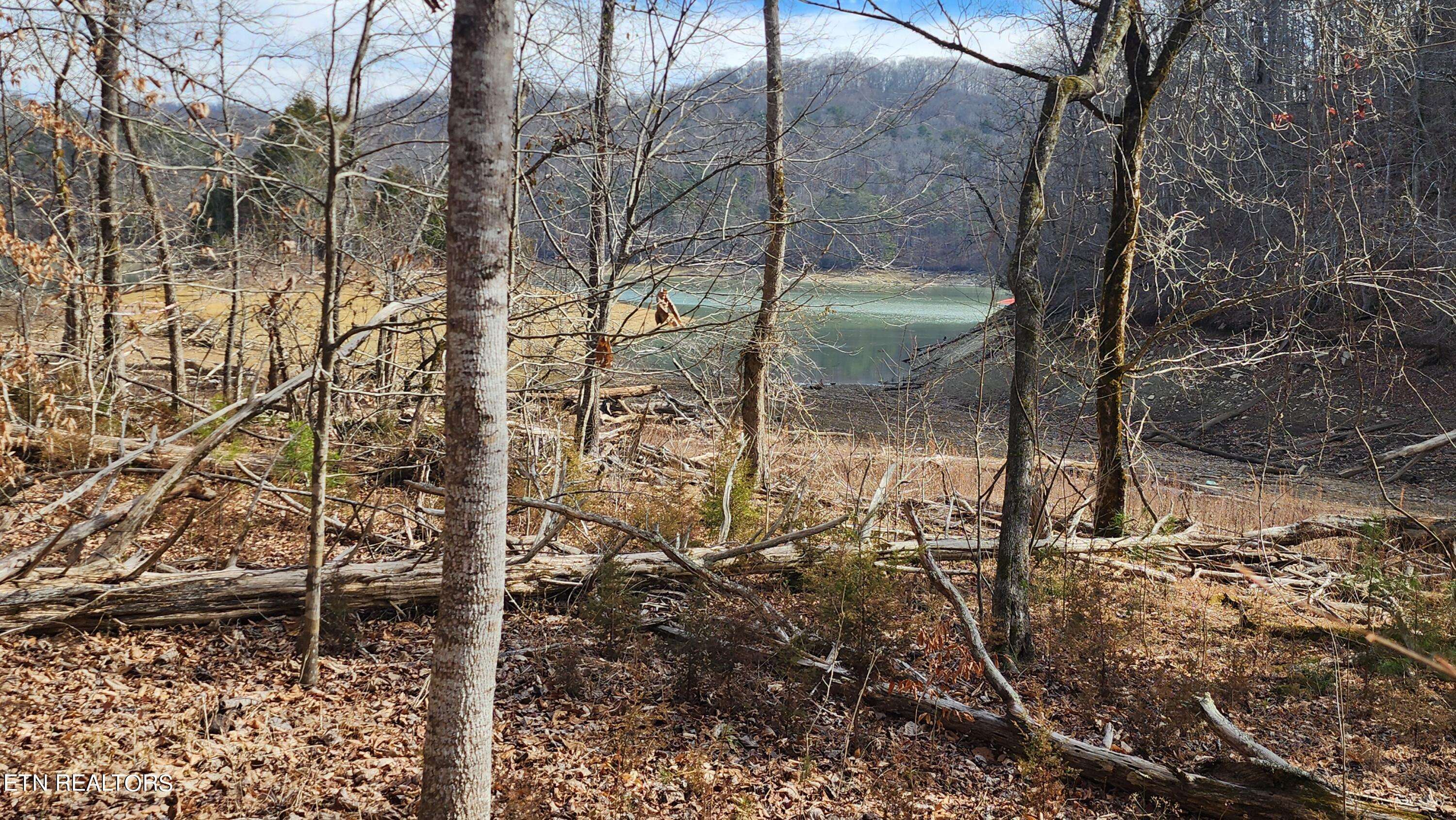 New Tazewell, TN 37825,312 Lot Bluff View Rd