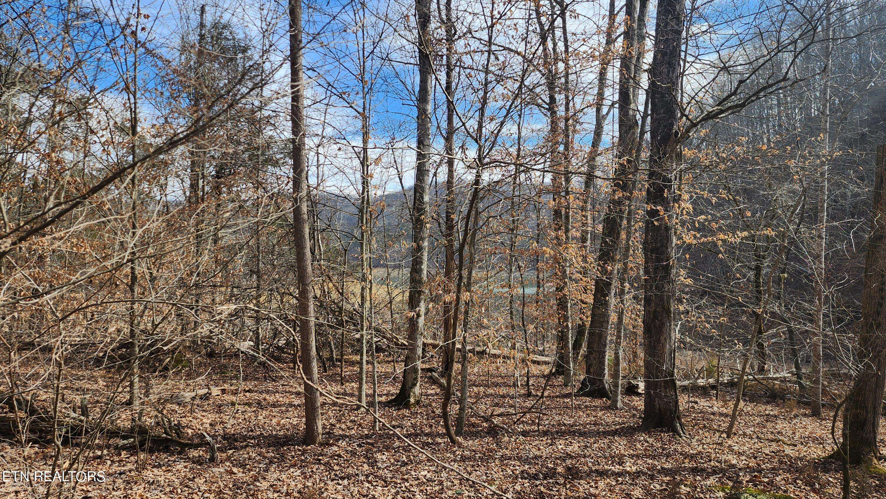 New Tazewell, TN 37825,312 Lot Bluff View Rd