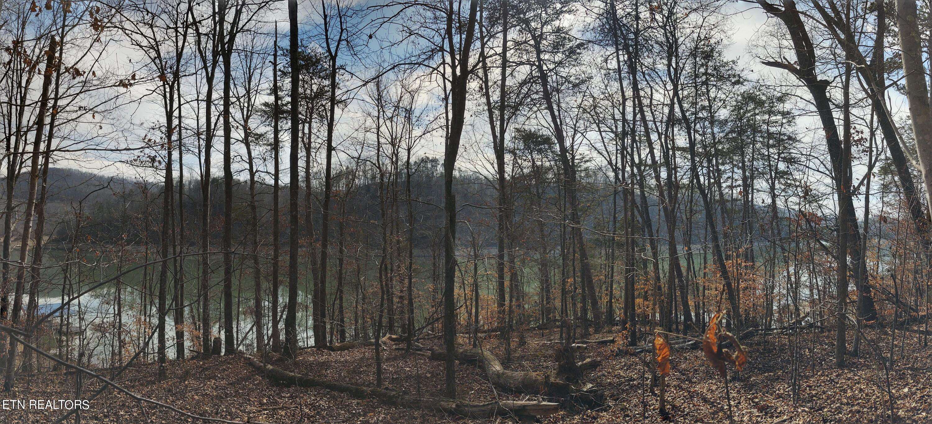 New Tazewell, TN 37825,Lot 48&49 Mountain Shores Road