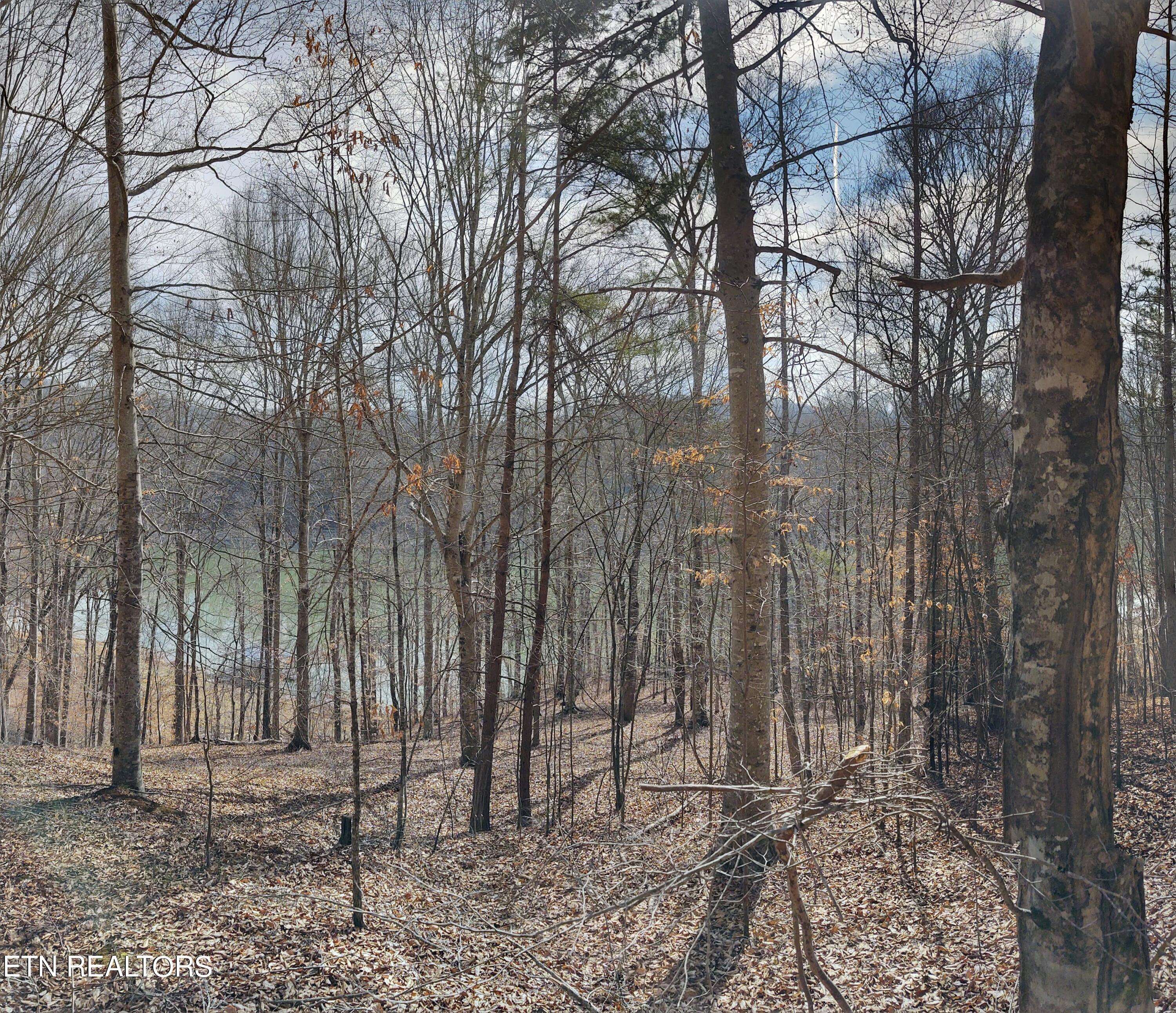 New Tazewell, TN 37825,Lot 48&49 Mountain Shores Road