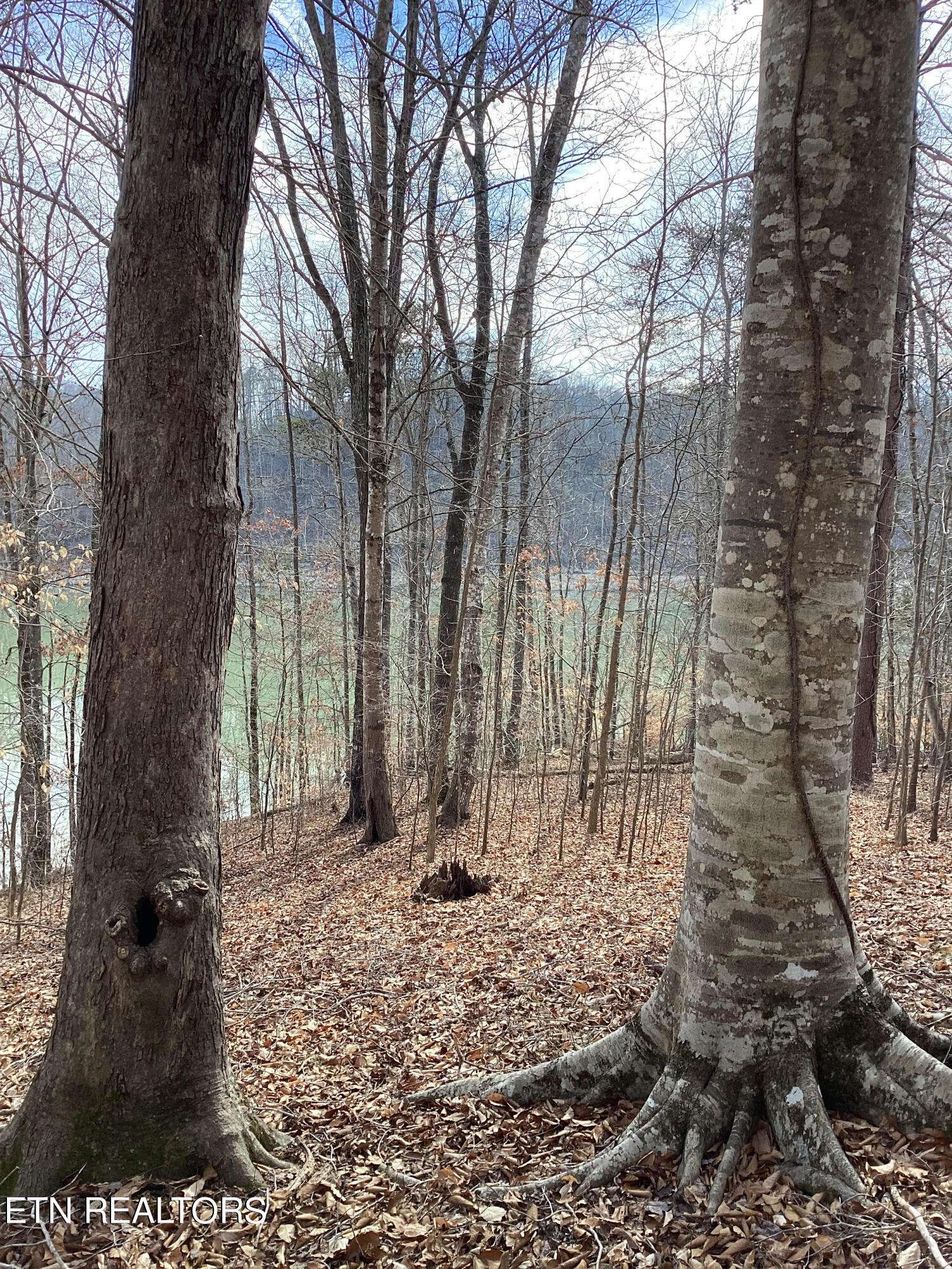 New Tazewell, TN 37825,Lot 48&49 Mountain Shores Road