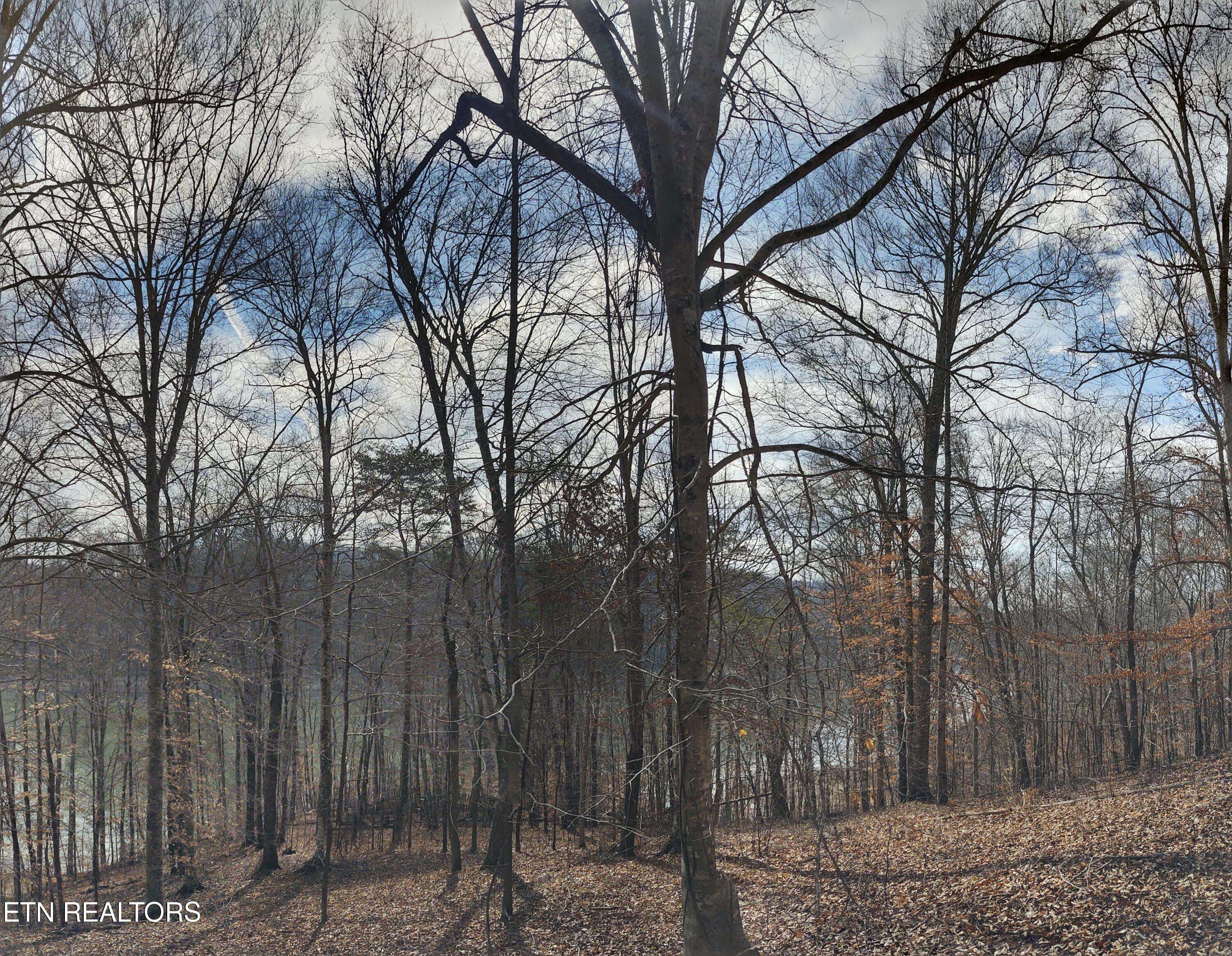 New Tazewell, TN 37825,Lot 48&49 Mountain Shores Road