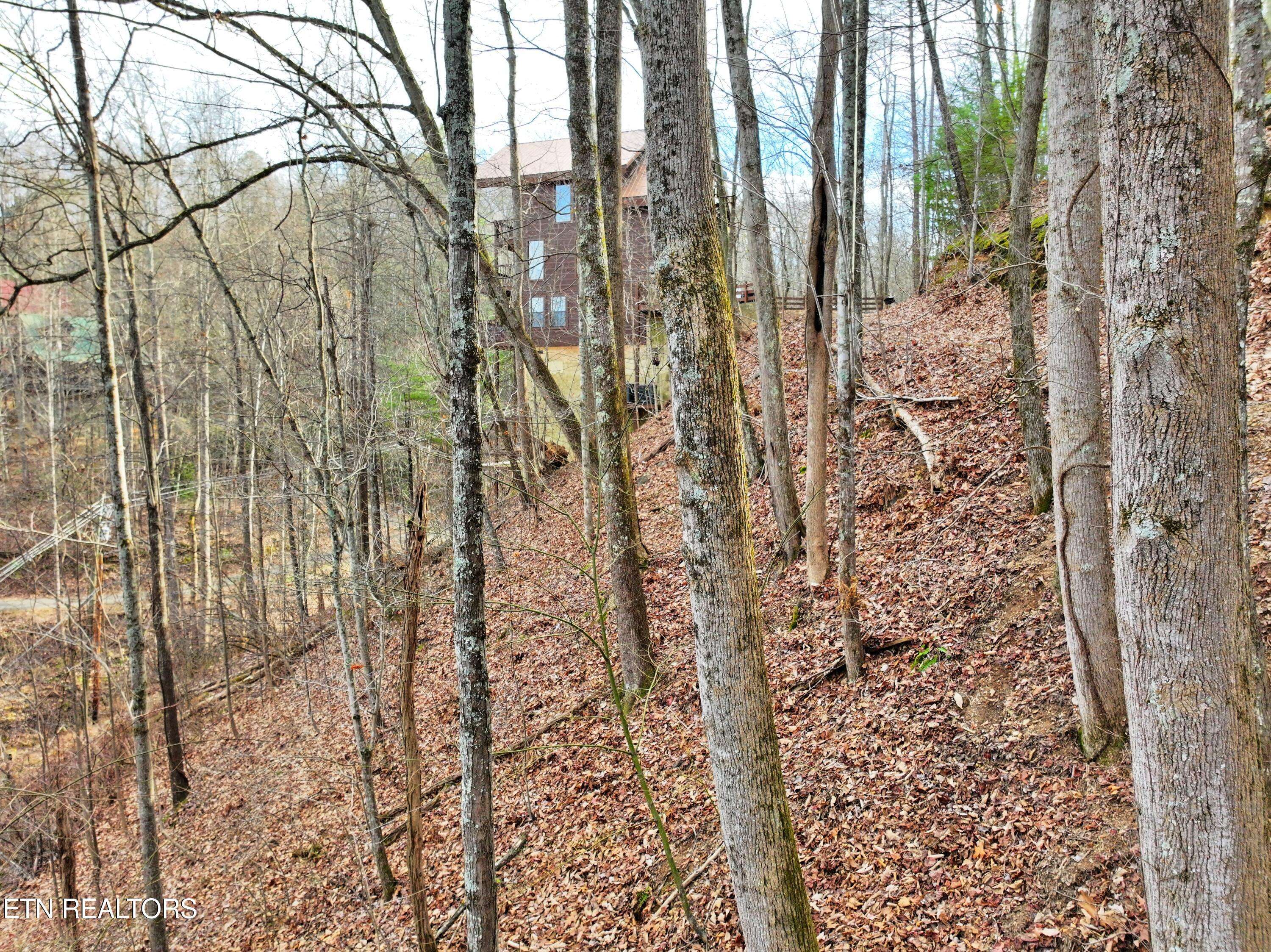 Gatlinburg, TN 37738,Balsam CIR