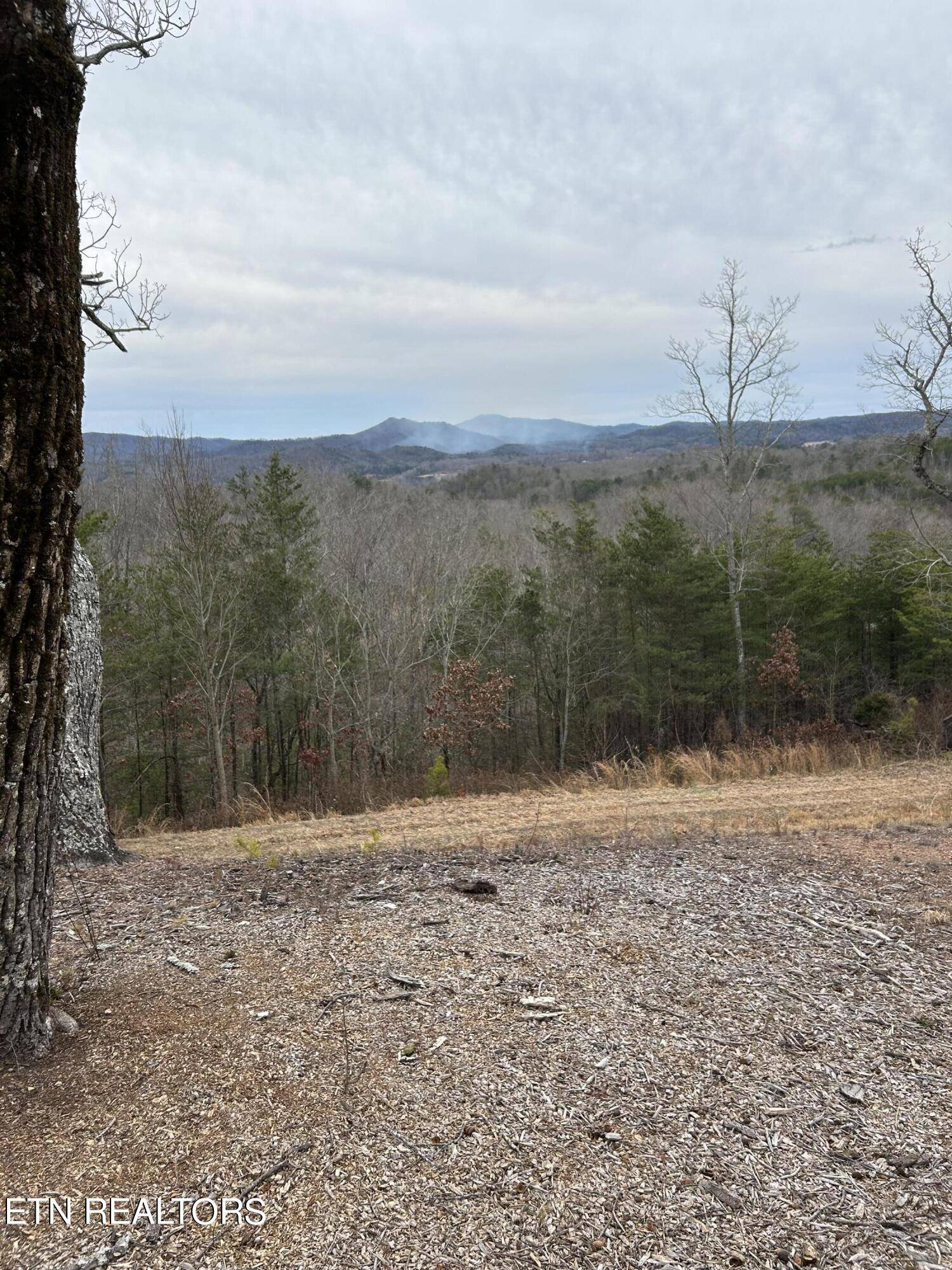 Tellico Plains, TN 37385,200 Mclemore Rd