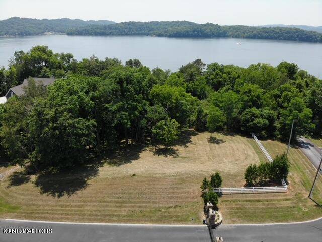 Rockwood, TN 37854,Shore lot 237 DR