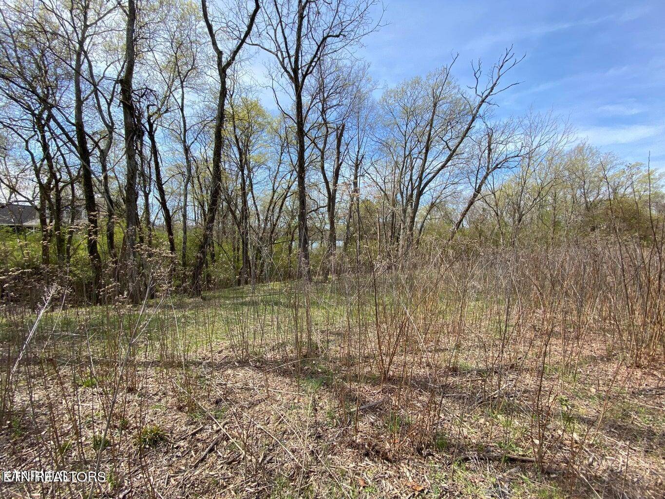 Rockwood, TN 37854,Shore lot 237 DR