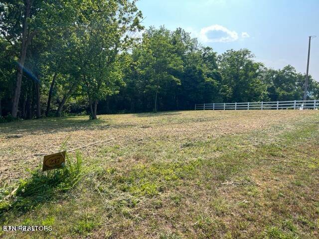 Rockwood, TN 37854,Shore lot 237 DR