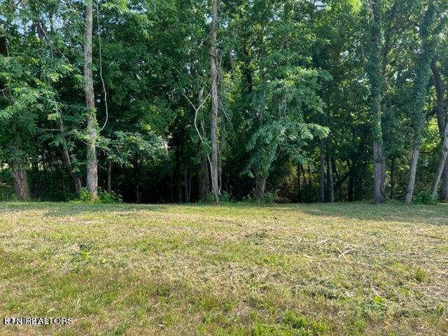 Rockwood, TN 37854,Shore lot 237 DR