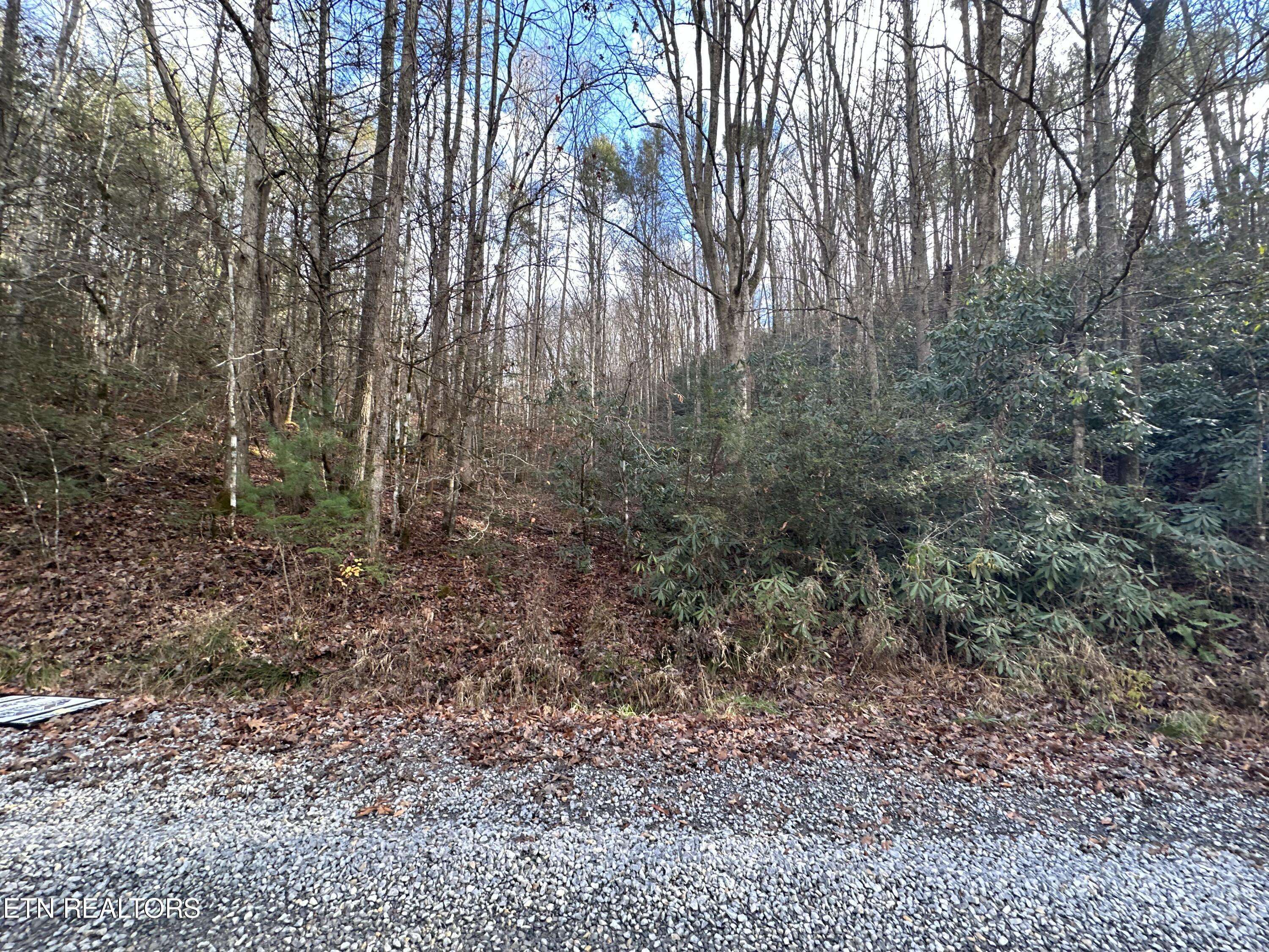 Cosby, TN 37722,Little Bear Trail WAY