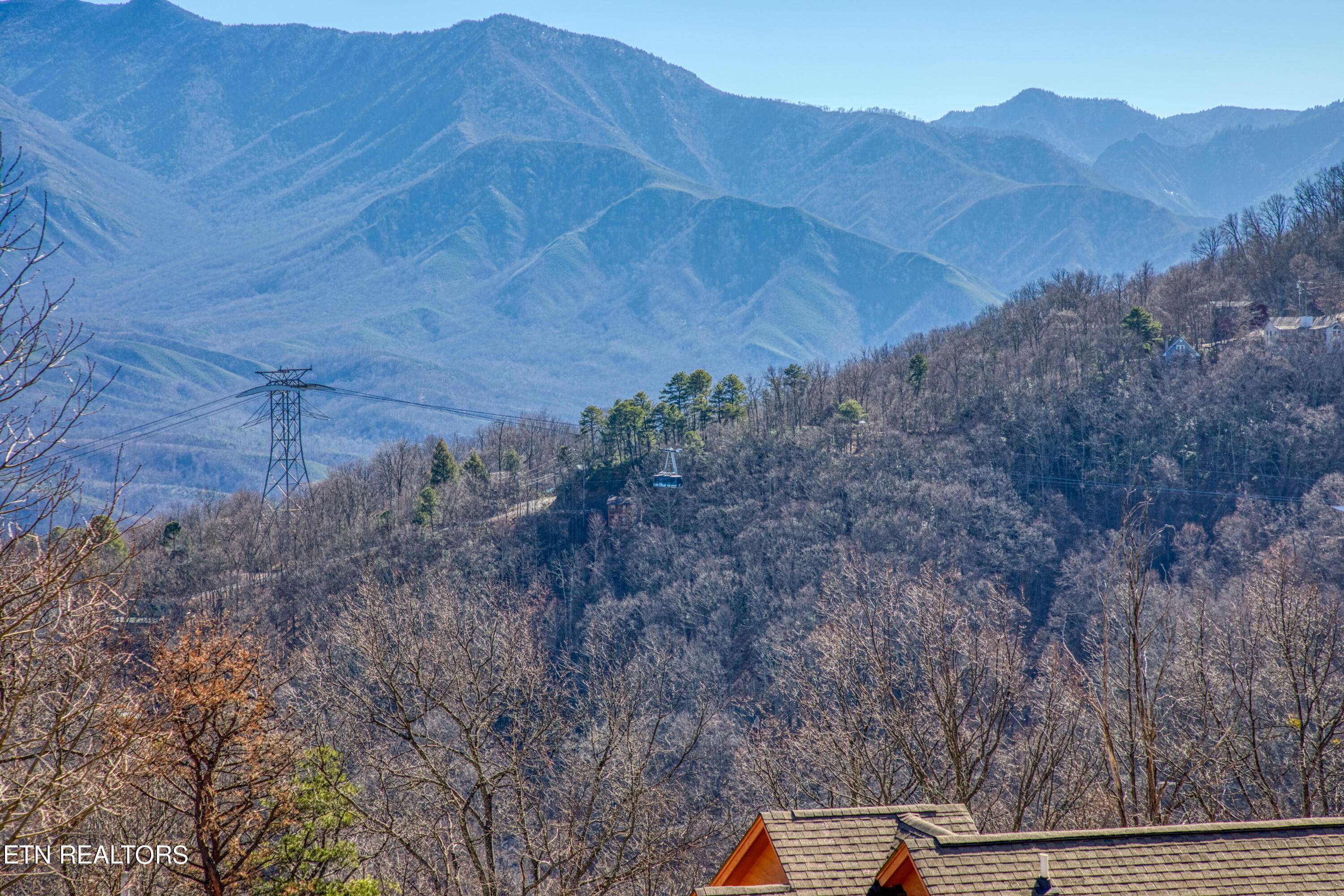 Gatlinburg, TN 37738,1260 Ski View DR #8201