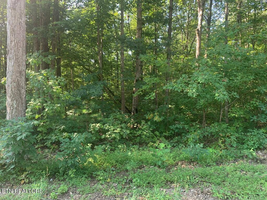 Graysville, TN 37338,4.59 acre Evening Shade LN