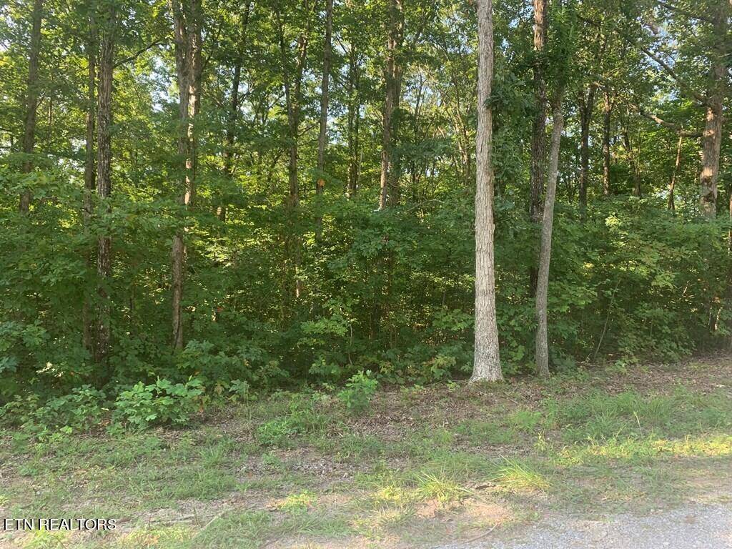 Graysville, TN 37338,4.59 acre Evening Shade LN