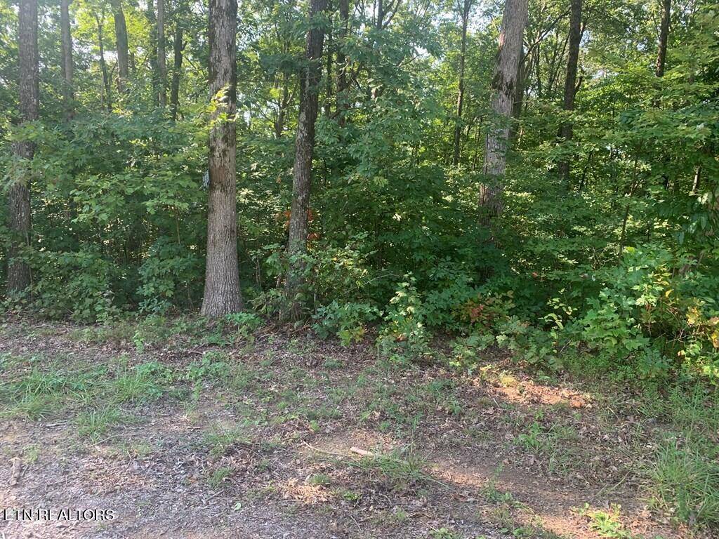 Graysville, TN 37338,4.59 acre Evening Shade LN