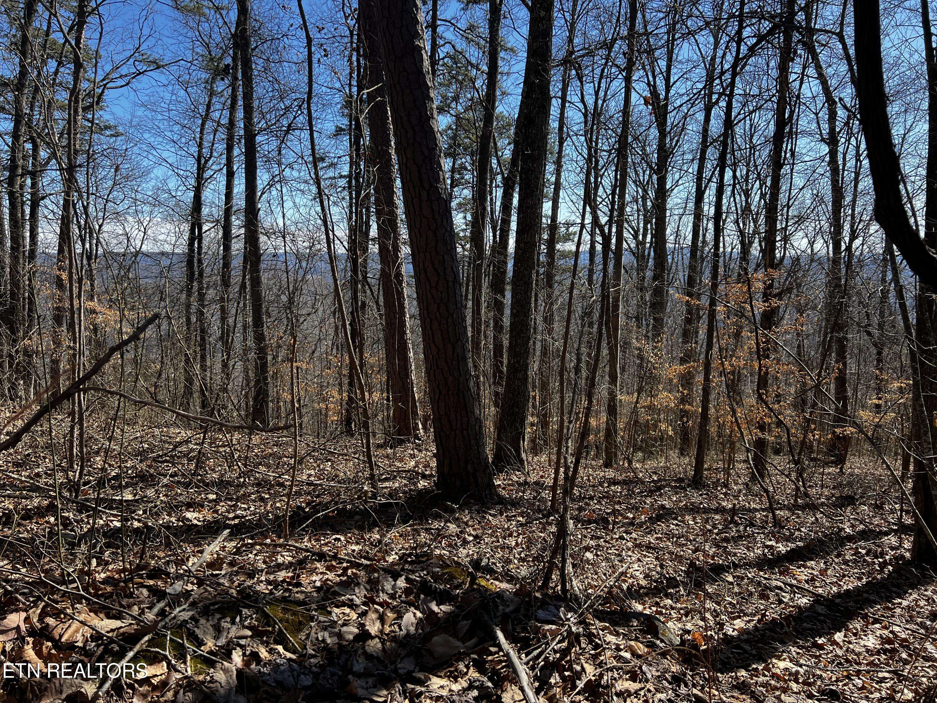 New Tazewell, TN 37825,Lot 426 Chimney Rock Rd