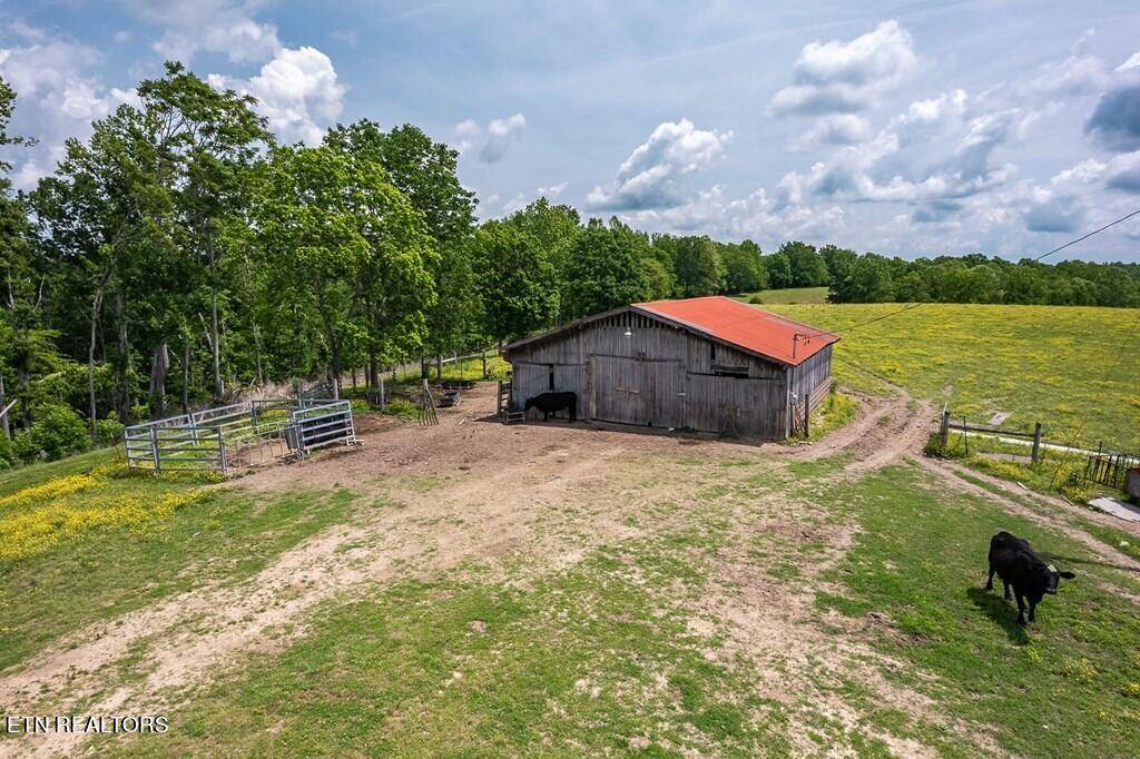 Gainesboro, TN 38562,85 ac Morrison Creek Rd Rd