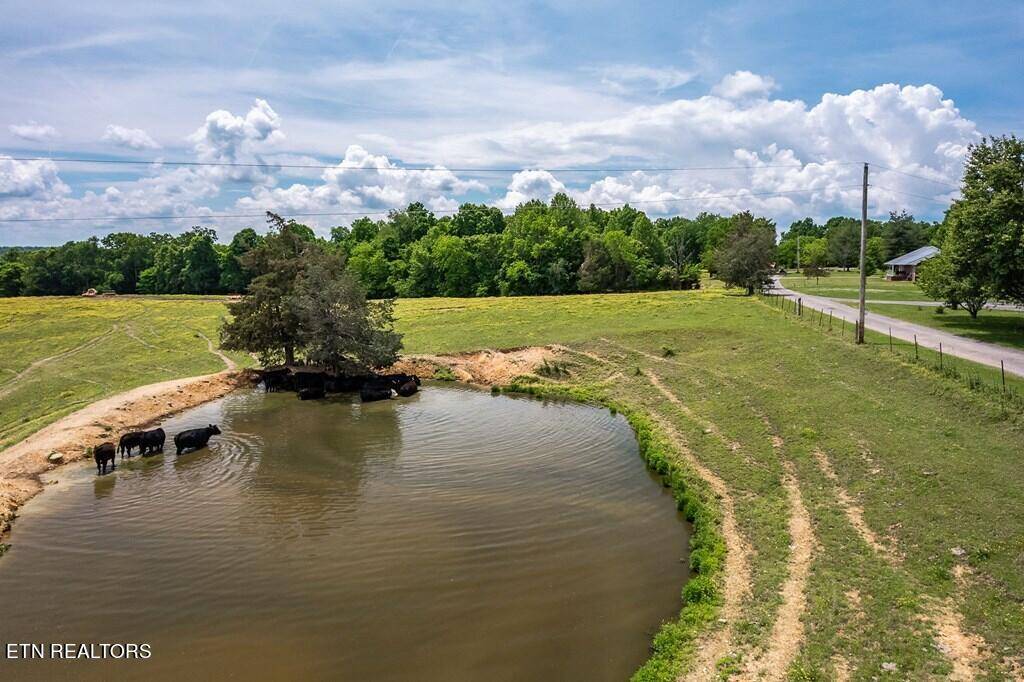 Gainesboro, TN 38562,85 ac Morrison Creek Rd Rd