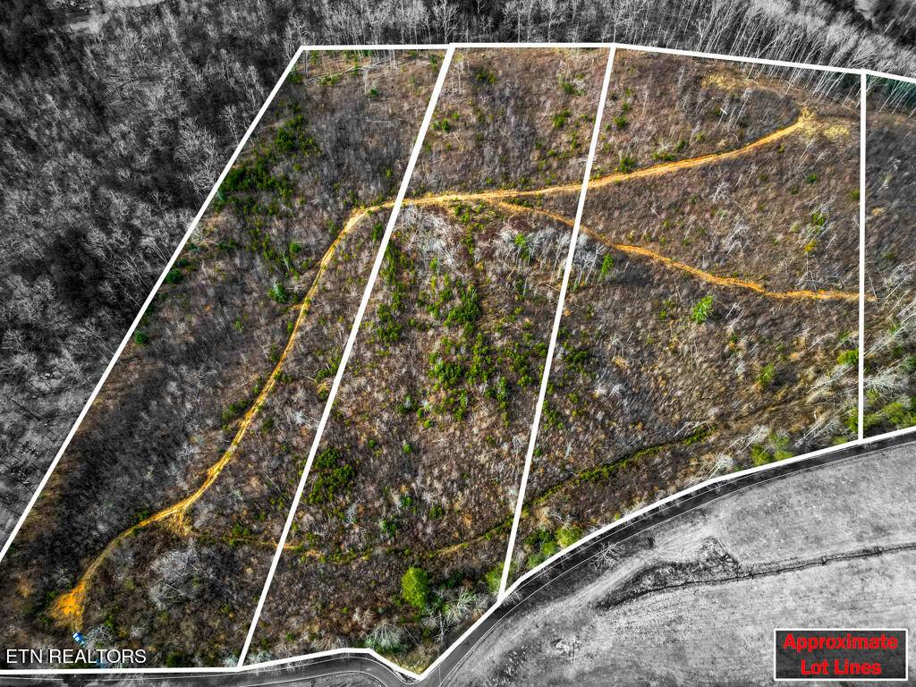 Tellico Plains, TN 37385,Lot 3 Unicoi Church Rd