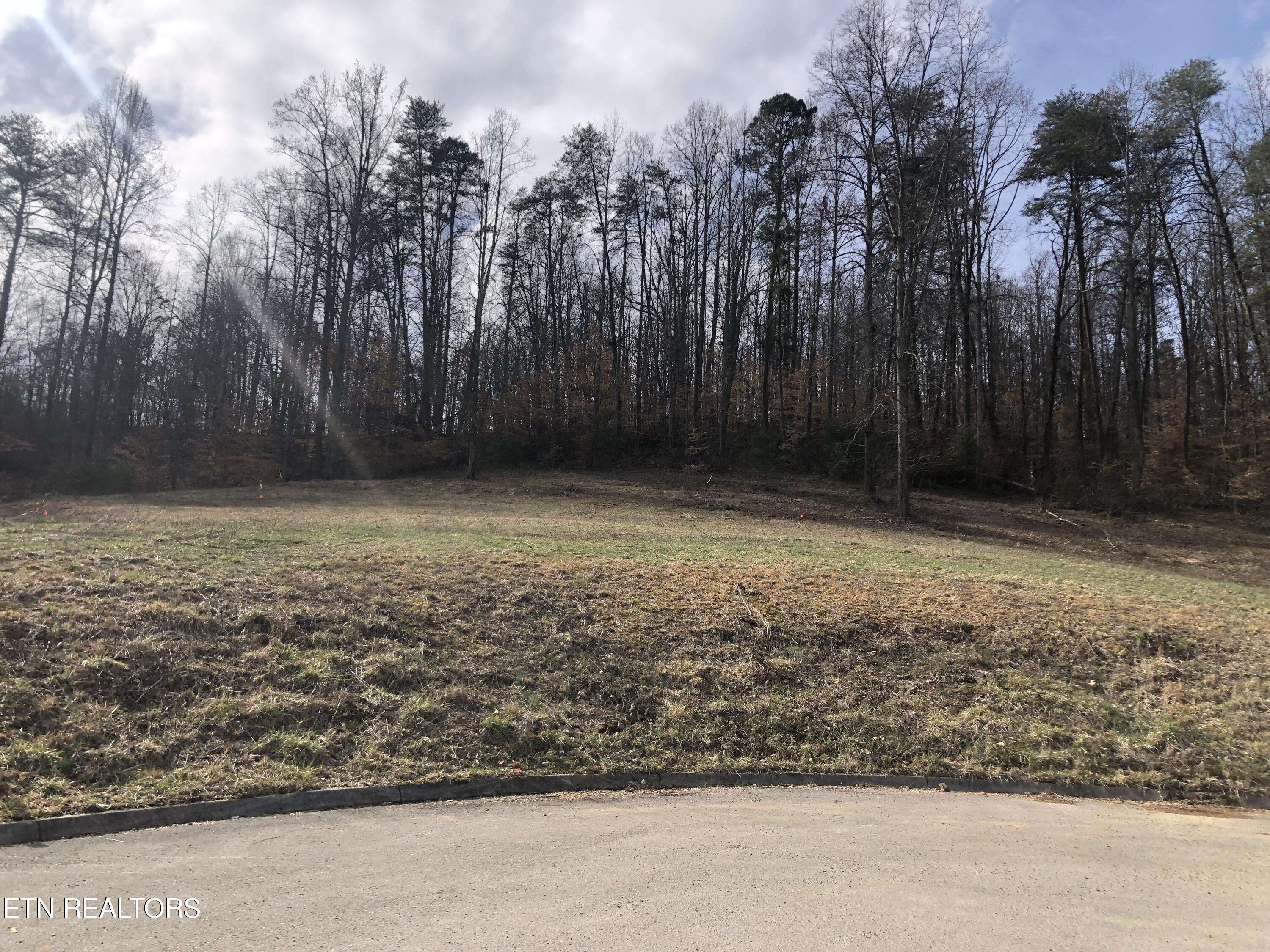 Strawberry Plains, TN 37871,Lot 7 Briar Ridge LN