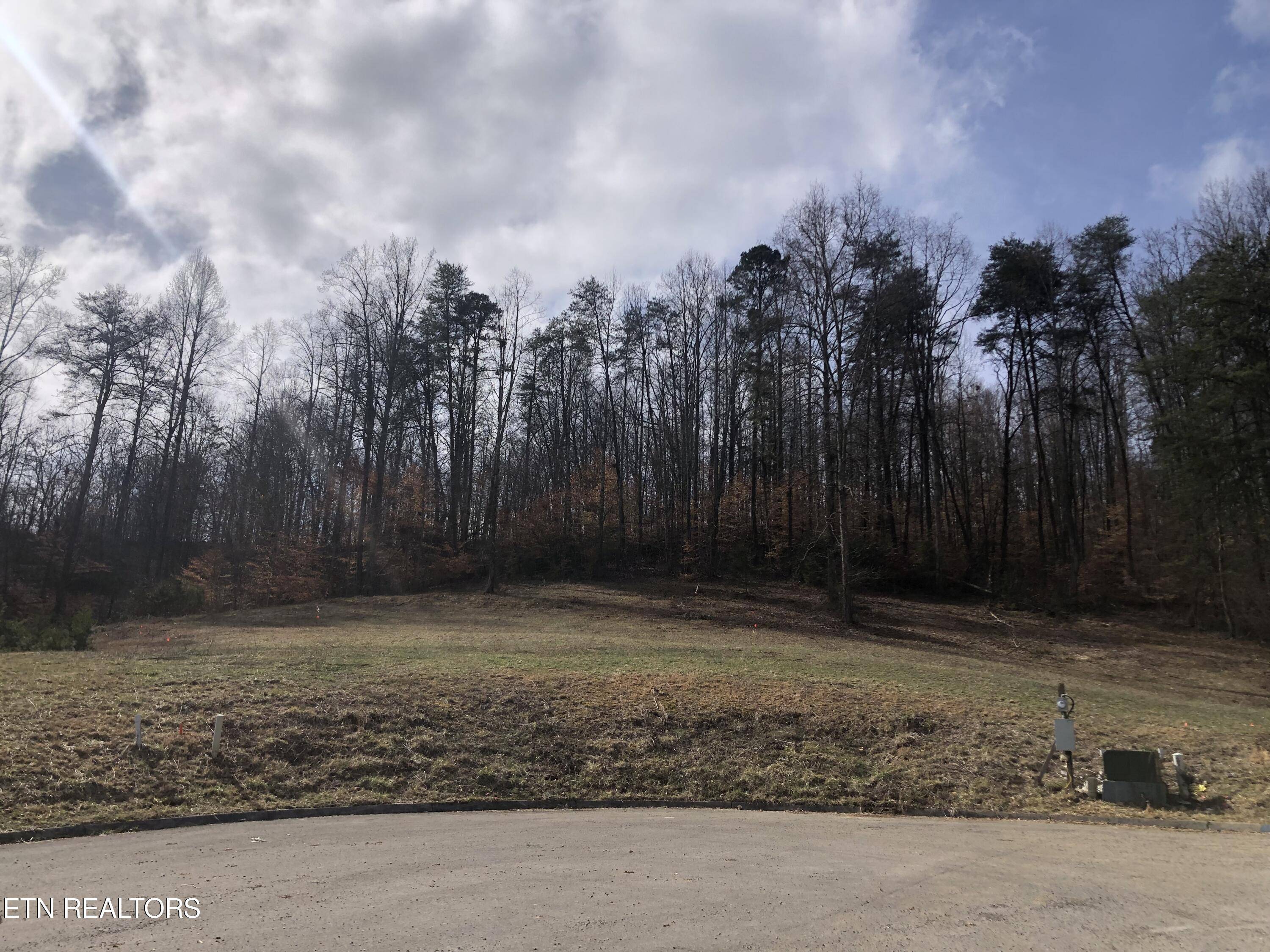 Strawberry Plains, TN 37871,Lot 7 Briar Ridge LN