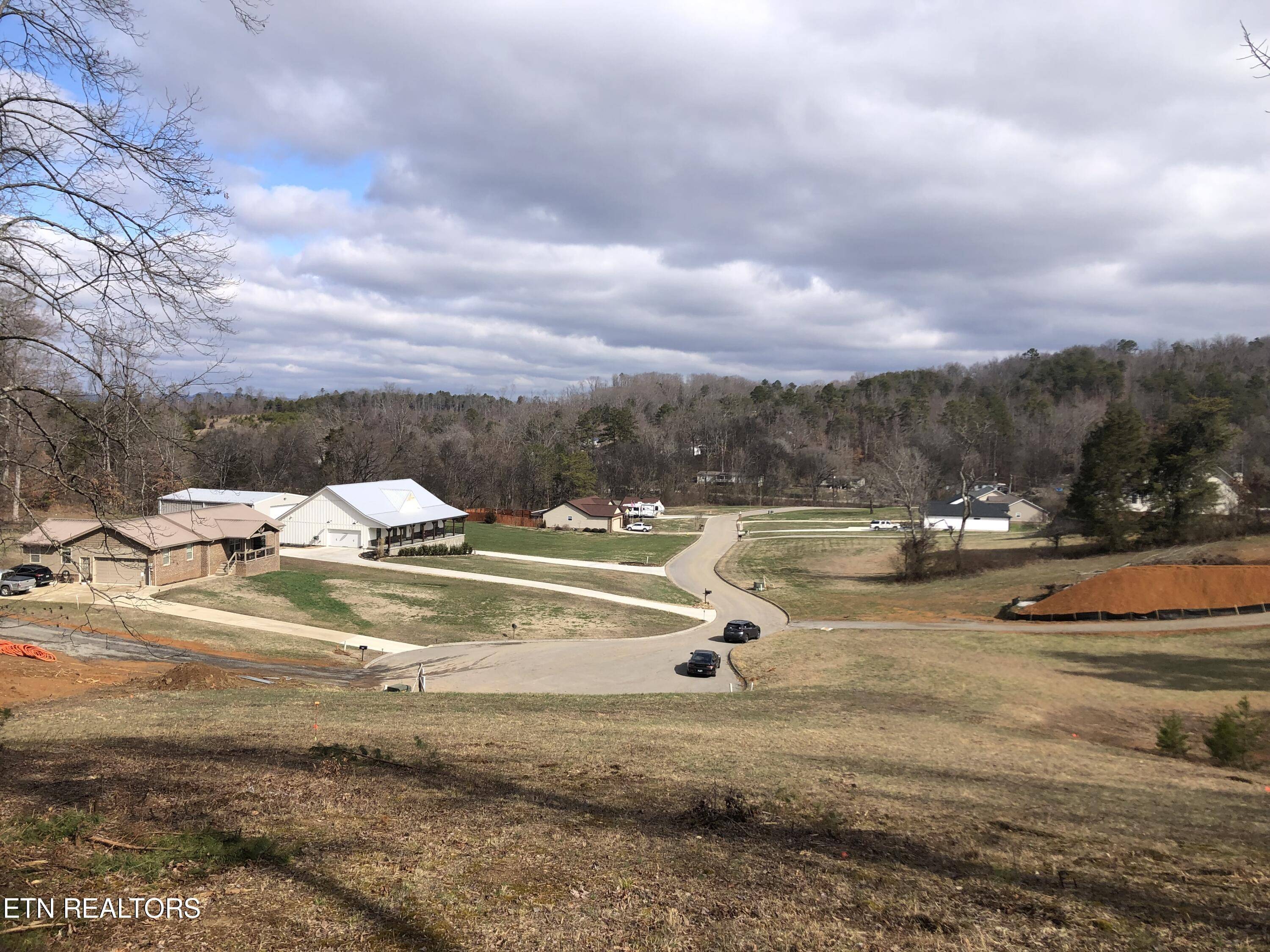 Strawberry Plains, TN 37871,Lot 7 Briar Ridge LN