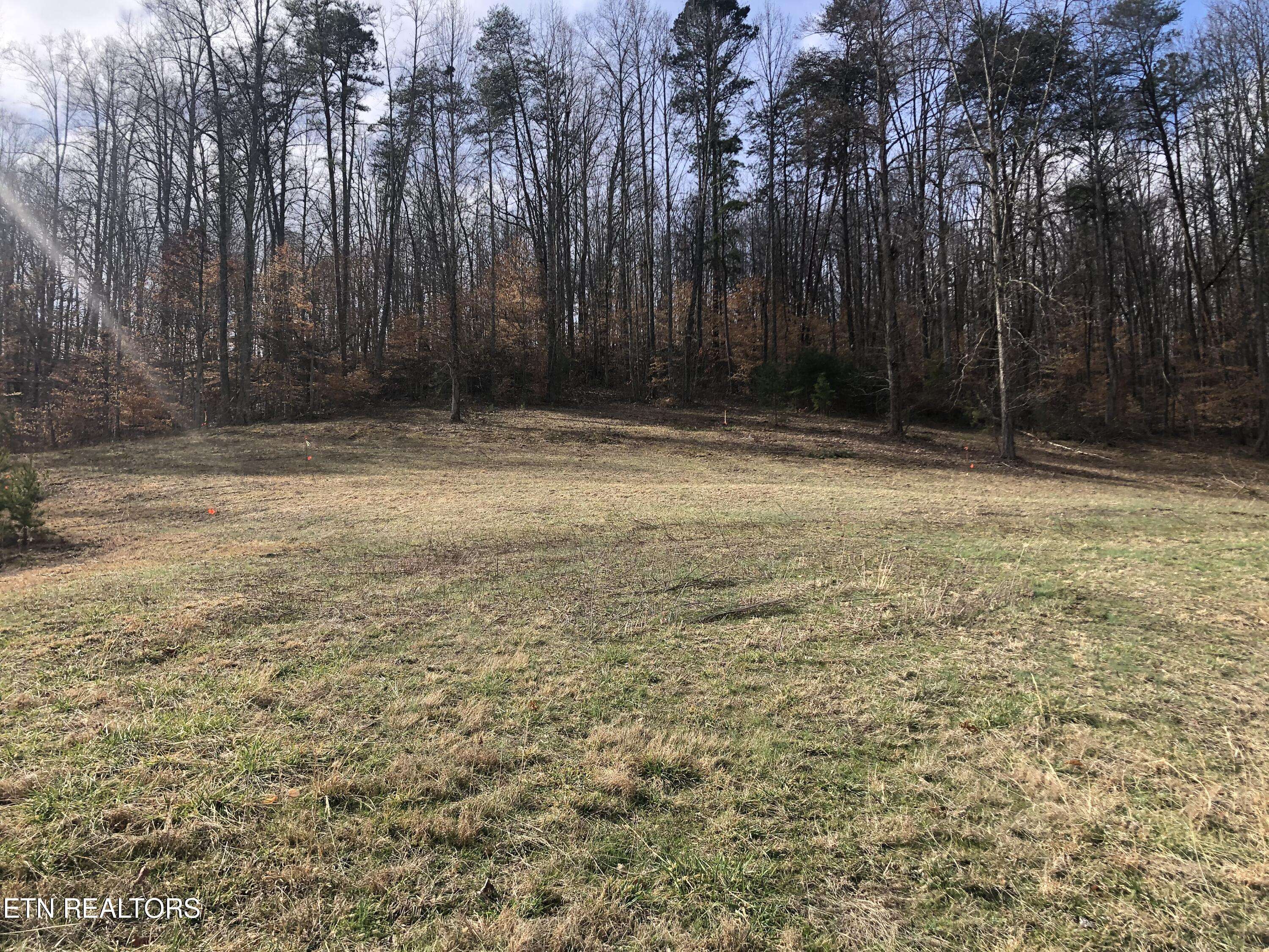 Strawberry Plains, TN 37871,Lot 7 Briar Ridge LN