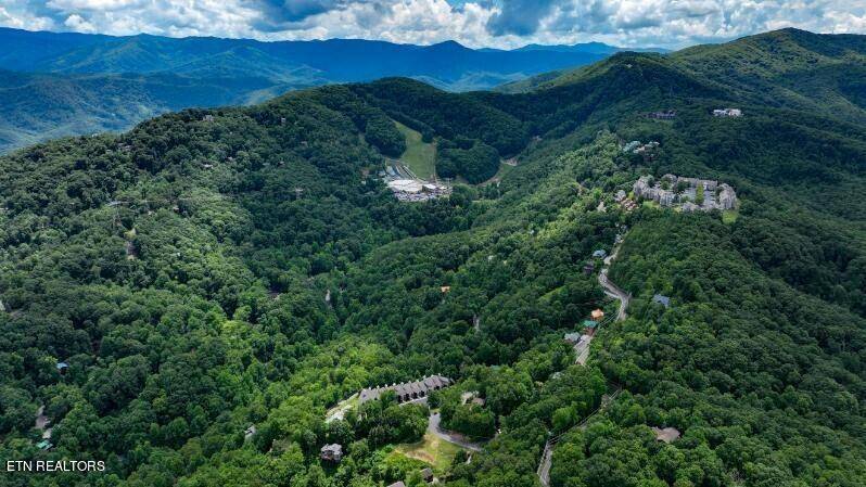 Gatlinburg, TN 37738,1155 Upper Alpine Way #110