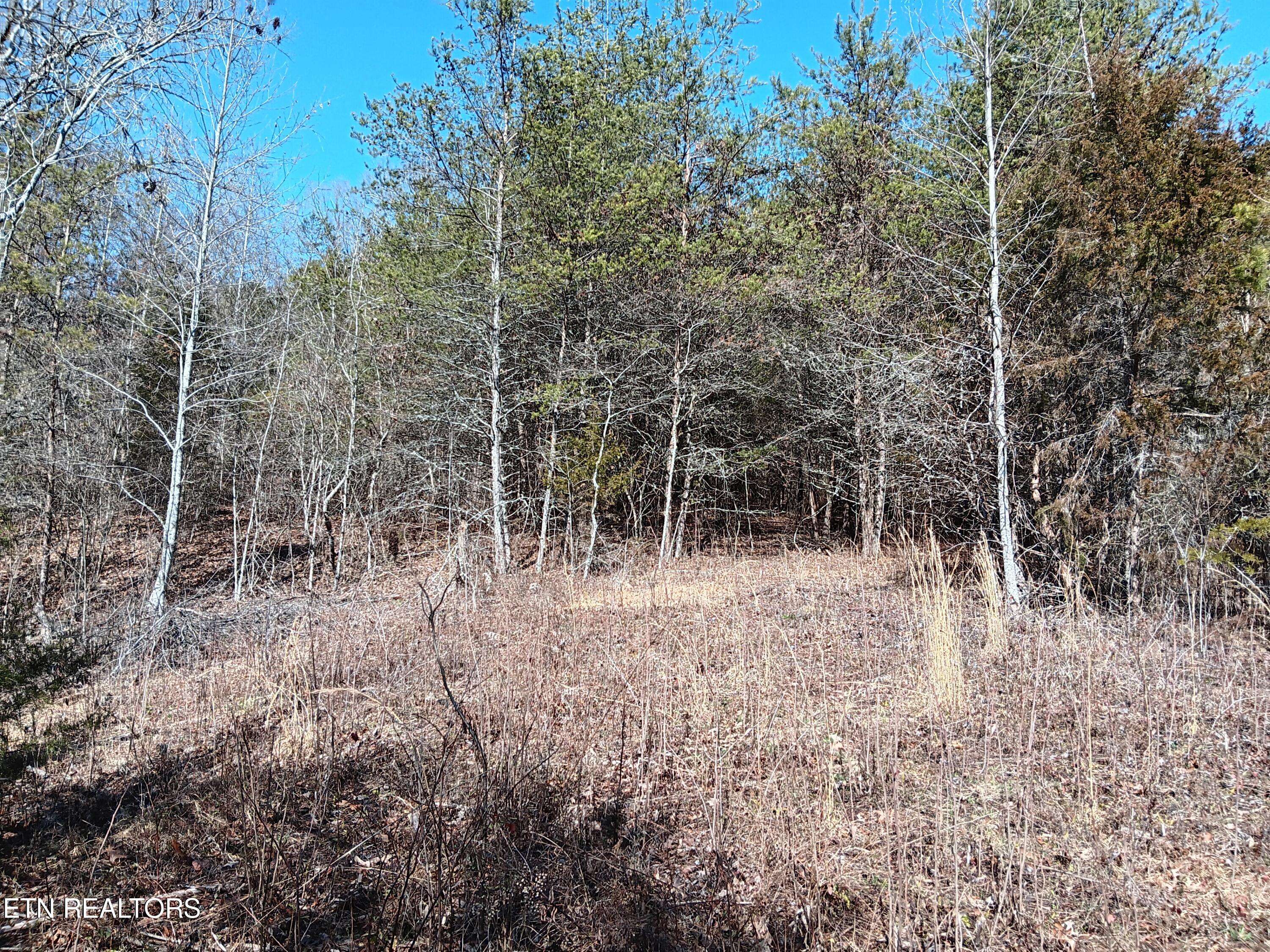 Washburn, TN 37888,0 Crackers Neck Rd